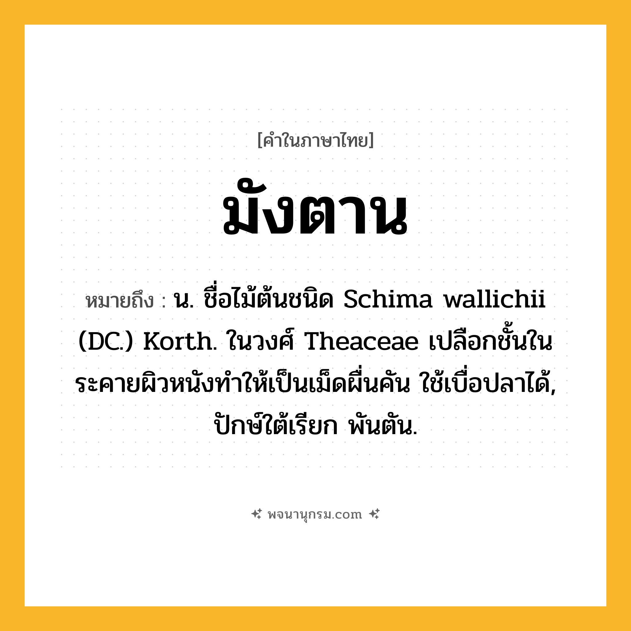 มังตาน ความหมาย หมายถึงอะไร?, คำในภาษาไทย มังตาน หมายถึง น. ชื่อไม้ต้นชนิด Schima wallichii (DC.) Korth. ในวงศ์ Theaceae เปลือกชั้นในระคายผิวหนังทําให้เป็นเม็ดผื่นคัน ใช้เบื่อปลาได้, ปักษ์ใต้เรียก พันตัน.