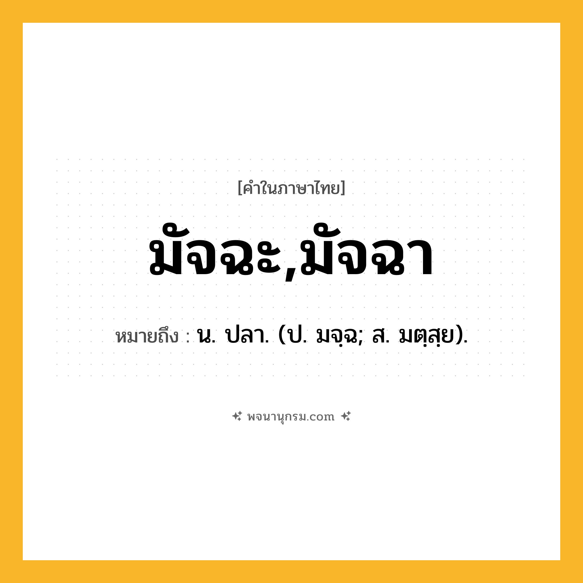 มัจฉะ,มัจฉา ความหมาย หมายถึงอะไร?, คำในภาษาไทย มัจฉะ,มัจฉา หมายถึง น. ปลา. (ป. มจฺฉ; ส. มตฺสฺย).