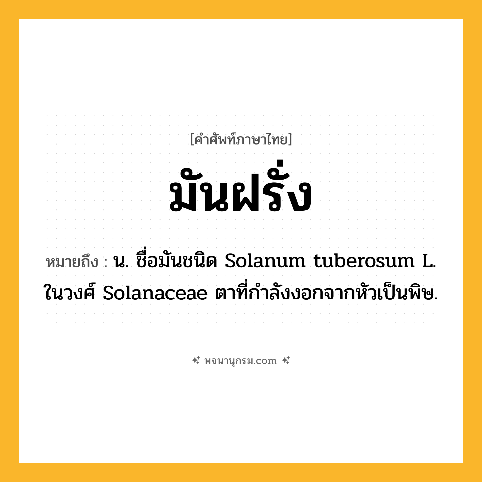 มันฝรั่ง ความหมาย หมายถึงอะไร?, คำในภาษาไทย มันฝรั่ง หมายถึง น. ชื่อมันชนิด Solanum tuberosum L. ในวงศ์ Solanaceae ตาที่กําลังงอกจากหัวเป็นพิษ.