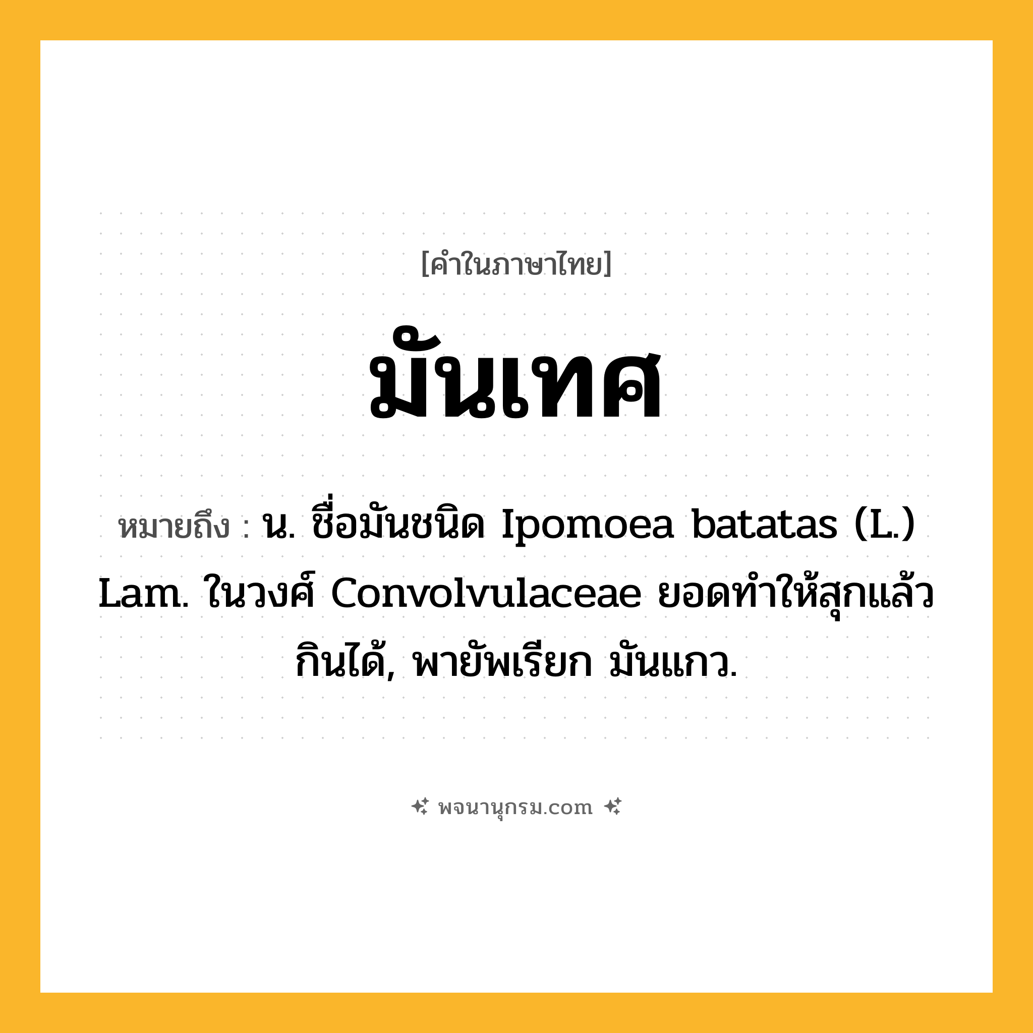 มันเทศ ความหมาย หมายถึงอะไร?, คำในภาษาไทย มันเทศ หมายถึง น. ชื่อมันชนิด Ipomoea batatas (L.) Lam. ในวงศ์ Convolvulaceae ยอดทําให้สุกแล้วกินได้, พายัพเรียก มันแกว.