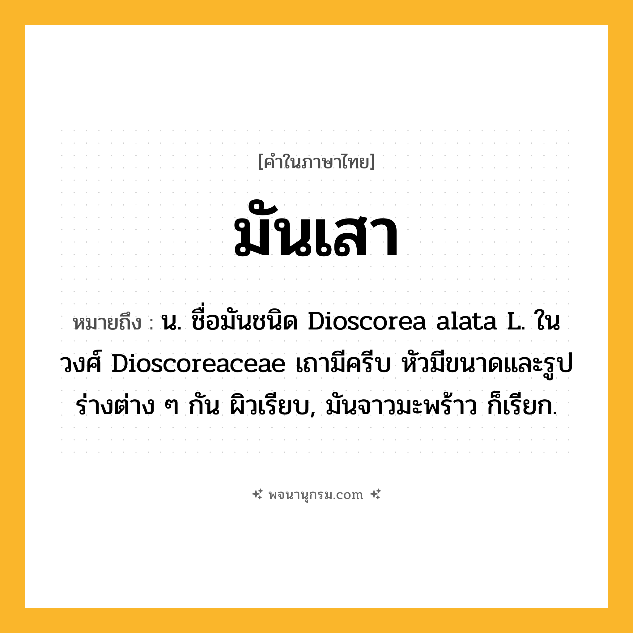 มันเสา ความหมาย หมายถึงอะไร?, คำในภาษาไทย มันเสา หมายถึง น. ชื่อมันชนิด Dioscorea alata L. ในวงศ์ Dioscoreaceae เถามีครีบ หัวมีขนาดและรูปร่างต่าง ๆ กัน ผิวเรียบ, มันจาวมะพร้าว ก็เรียก.