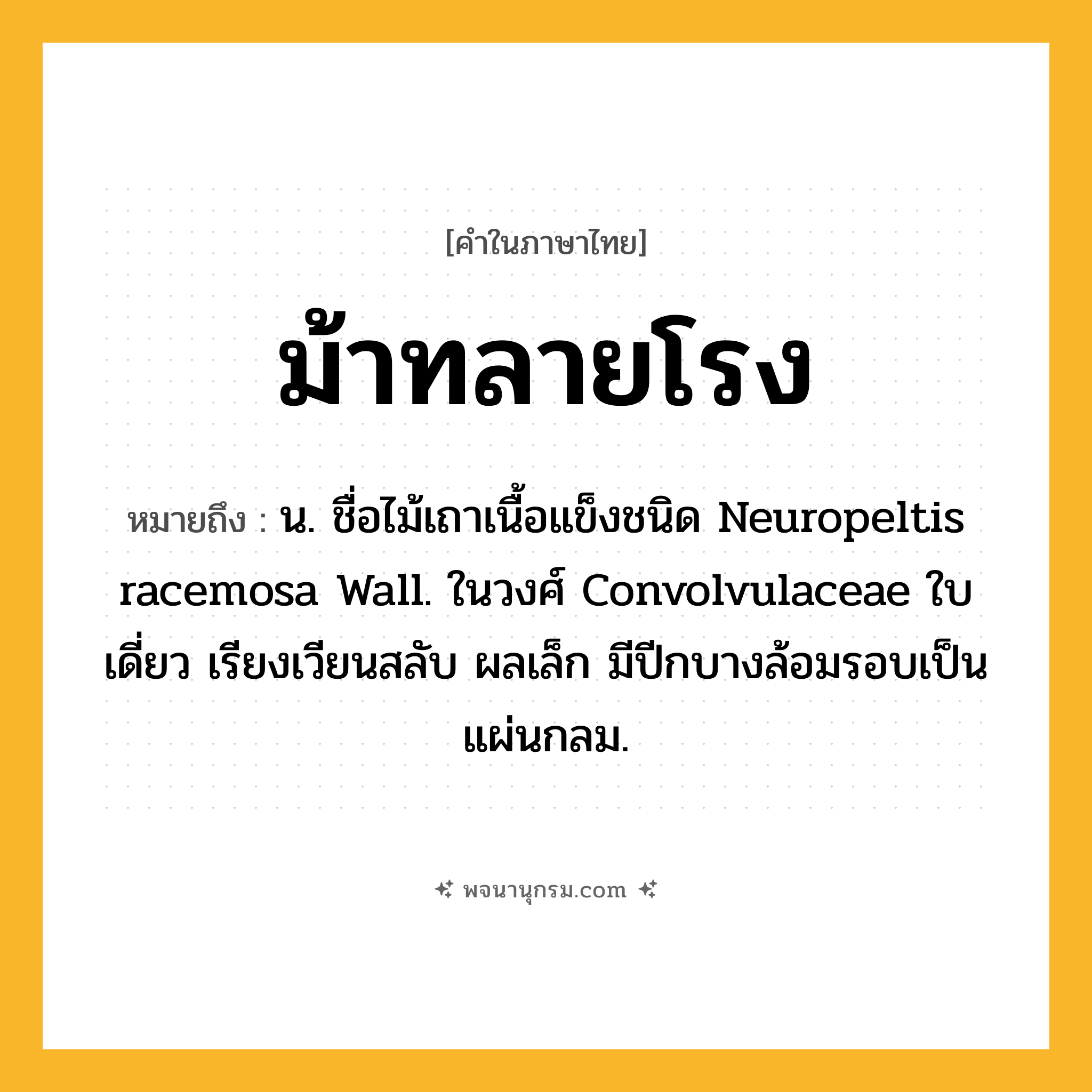 ม้าทลายโรง ความหมาย หมายถึงอะไร?, คำในภาษาไทย ม้าทลายโรง หมายถึง น. ชื่อไม้เถาเนื้อแข็งชนิด Neuropeltis racemosa Wall. ในวงศ์ Convolvulaceae ใบเดี่ยว เรียงเวียนสลับ ผลเล็ก มีปีกบางล้อมรอบเป็นแผ่นกลม.