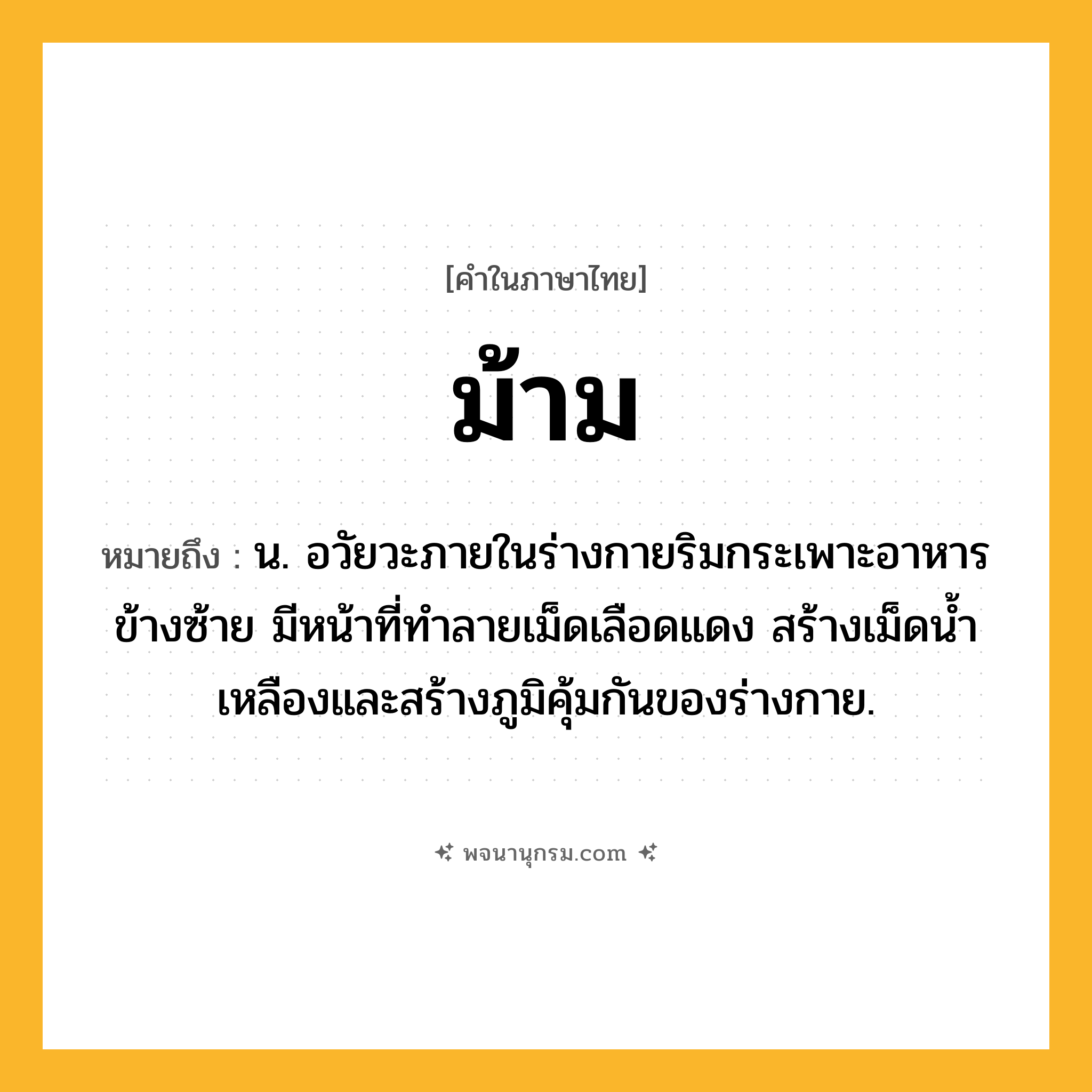 ม้าม ความหมาย หมายถึงอะไร?, คำในภาษาไทย ม้าม หมายถึง น. อวัยวะภายในร่างกายริมกระเพาะอาหารข้างซ้าย มีหน้าที่ทําลายเม็ดเลือดแดง สร้างเม็ดนํ้าเหลืองและสร้างภูมิคุ้มกันของร่างกาย.