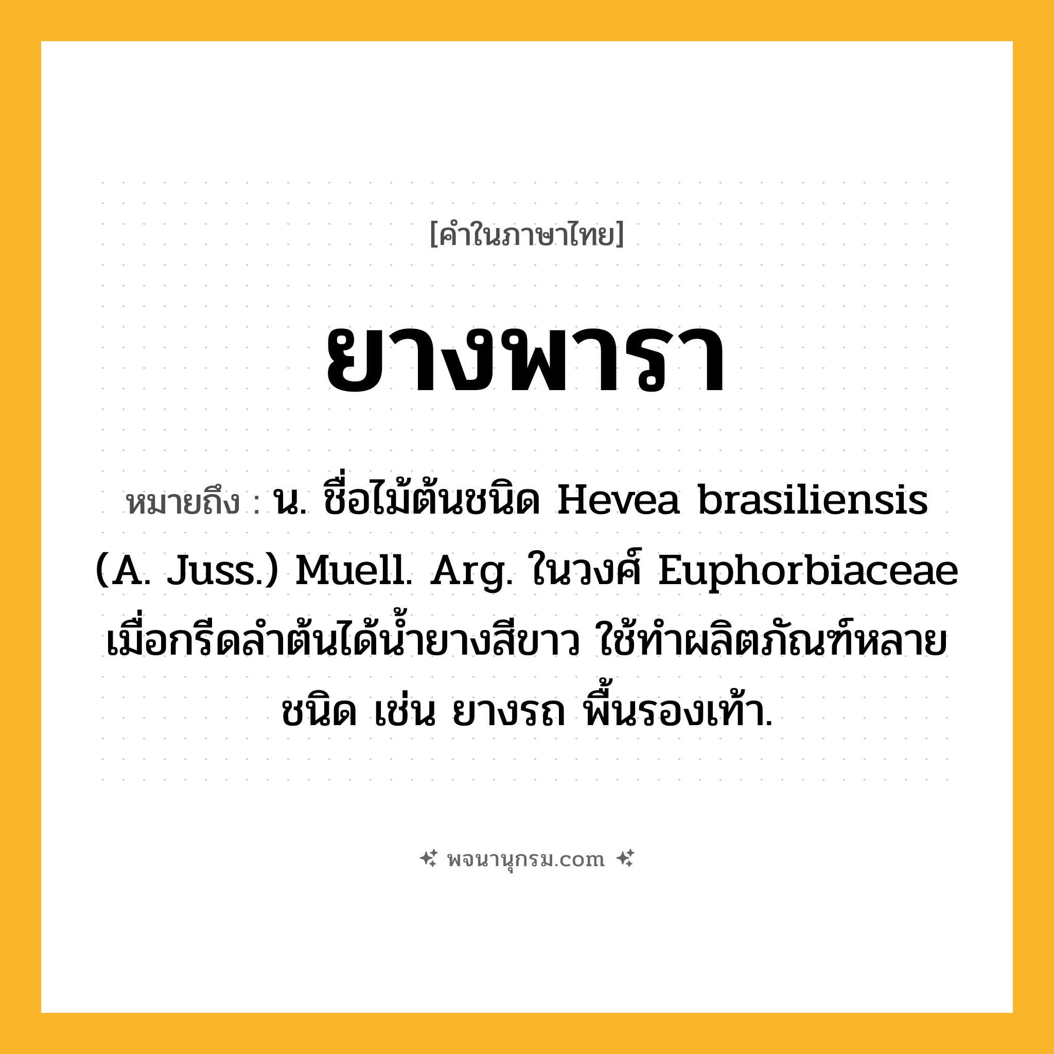 ยางพารา ความหมาย หมายถึงอะไร?, คำในภาษาไทย ยางพารา หมายถึง น. ชื่อไม้ต้นชนิด Hevea brasiliensis (A. Juss.) Muell. Arg. ในวงศ์ Euphorbiaceae เมื่อกรีดลําต้นได้นํ้ายางสีขาว ใช้ทําผลิตภัณฑ์หลายชนิด เช่น ยางรถ พื้นรองเท้า.