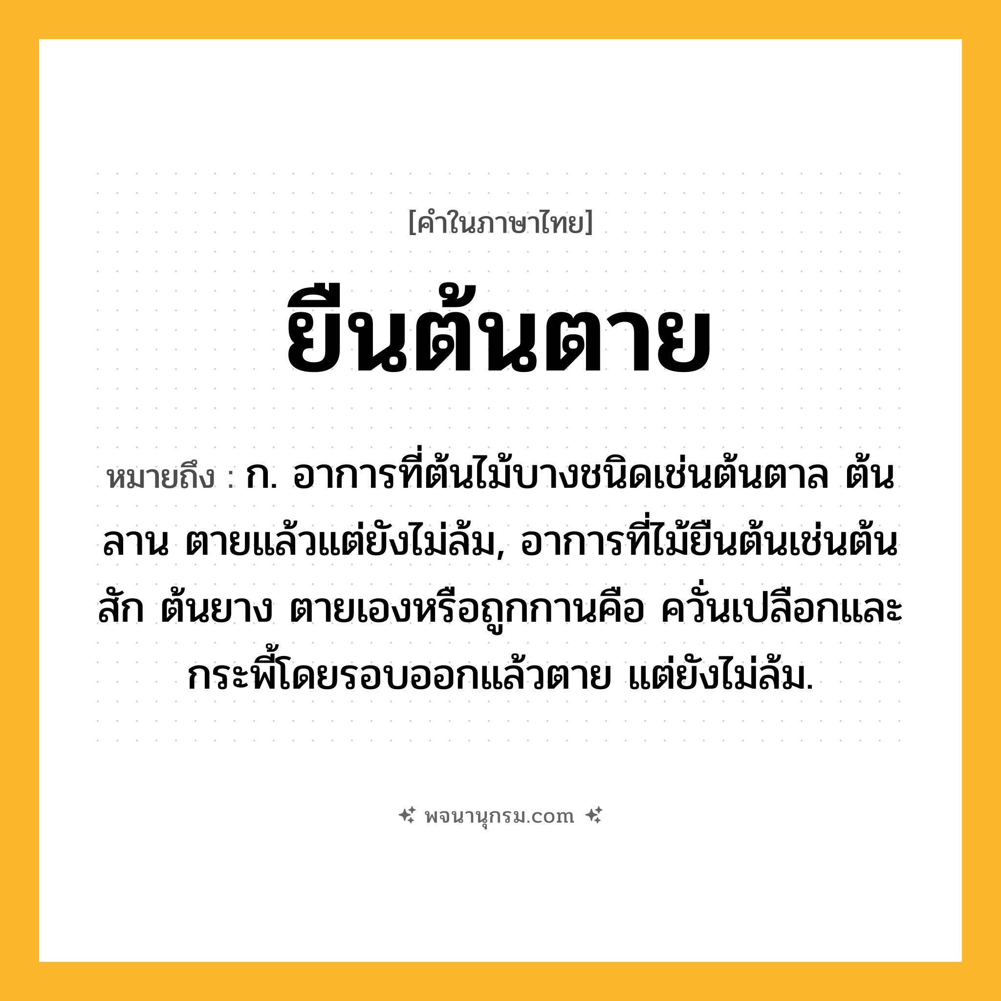 ยืนต้นตาย ความหมาย หมายถึงอะไร?, คำในภาษาไทย ยืนต้นตาย หมายถึง ก. อาการที่ต้นไม้บางชนิดเช่นต้นตาล ต้นลาน ตายแล้วแต่ยังไม่ล้ม, อาการที่ไม้ยืนต้นเช่นต้นสัก ต้นยาง ตายเองหรือถูกกานคือ ควั่นเปลือกและกระพี้โดยรอบออกแล้วตาย แต่ยังไม่ล้ม.