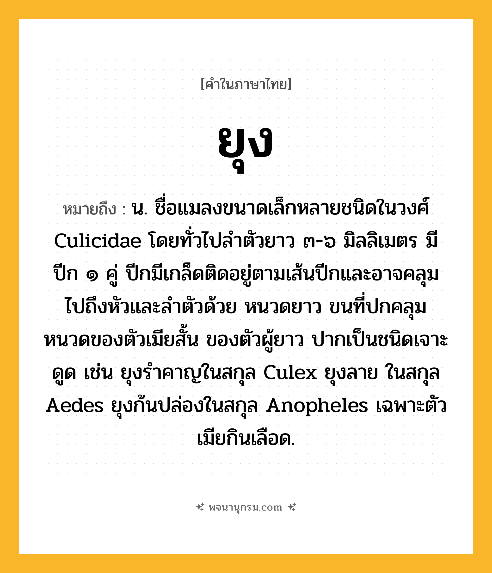 ยุง ความหมาย หมายถึงอะไร?, คำในภาษาไทย ยุง หมายถึง น. ชื่อแมลงขนาดเล็กหลายชนิดในวงศ์ Culicidae โดยทั่วไปลําตัวยาว ๓-๖ มิลลิเมตร มีปีก ๑ คู่ ปีกมีเกล็ดติดอยู่ตามเส้นปีกและอาจคลุมไปถึงหัวและลําตัวด้วย หนวดยาว ขนที่ปกคลุมหนวดของตัวเมียสั้น ของตัวผู้ยาว ปากเป็นชนิดเจาะดูด เช่น ยุงรําคาญในสกุล Culex ยุงลาย ในสกุล Aedes ยุงก้นปล่องในสกุล Anopheles เฉพาะตัวเมียกินเลือด.
