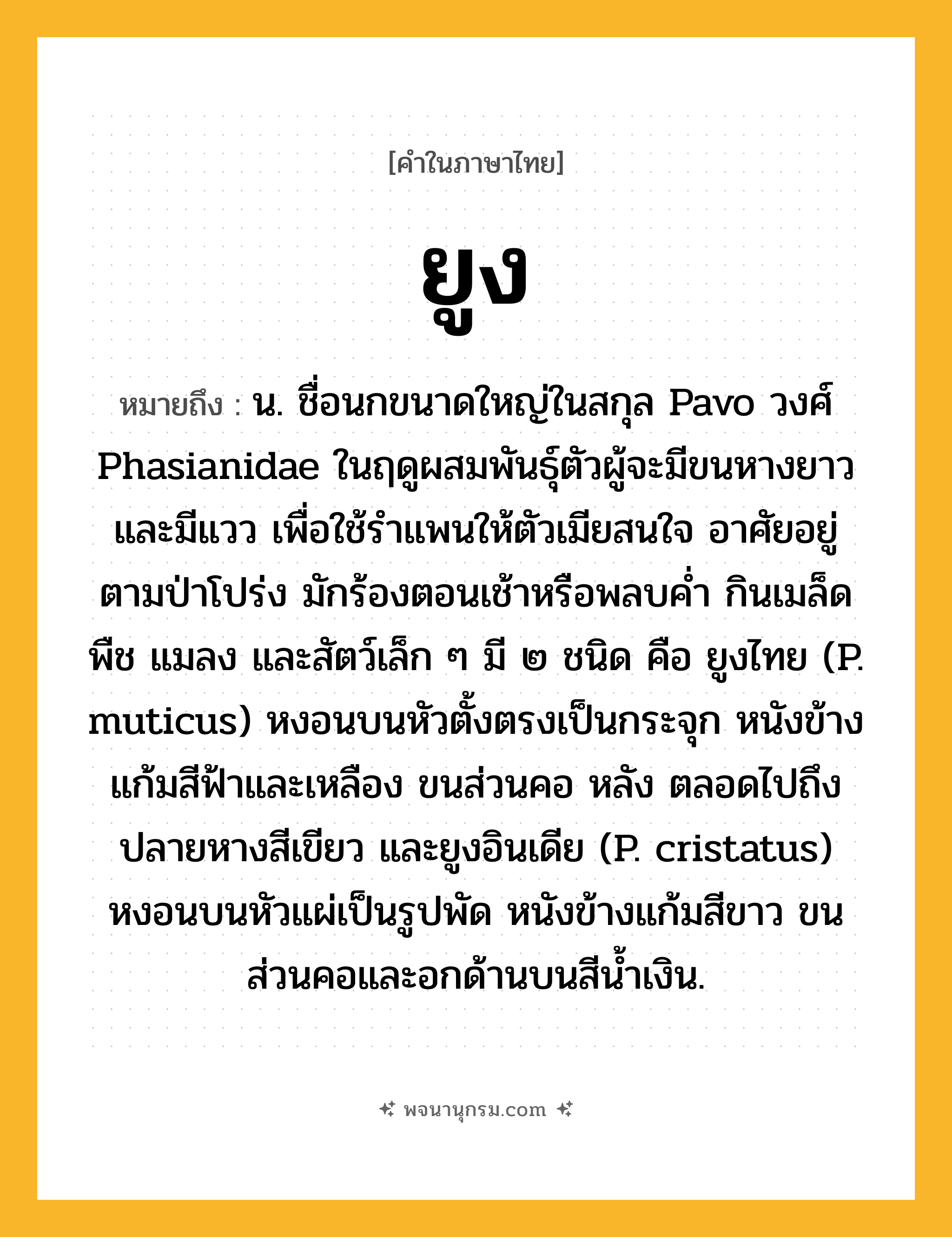 ยูง ความหมาย หมายถึงอะไร?, คำในภาษาไทย ยูง หมายถึง น. ชื่อนกขนาดใหญ่ในสกุล Pavo วงศ์ Phasianidae ในฤดูผสมพันธุ์ตัวผู้จะมีขนหางยาวและมีแวว เพื่อใช้รําแพนให้ตัวเมียสนใจ อาศัยอยู่ตามป่าโปร่ง มักร้องตอนเช้าหรือพลบคํ่า กินเมล็ดพืช แมลง และสัตว์เล็ก ๆ มี ๒ ชนิด คือ ยูงไทย (P. muticus) หงอนบนหัวตั้งตรงเป็นกระจุก หนังข้างแก้มสีฟ้าและเหลือง ขนส่วนคอ หลัง ตลอดไปถึงปลายหางสีเขียว และยูงอินเดีย (P. cristatus) หงอนบนหัวแผ่เป็นรูปพัด หนังข้างแก้มสีขาว ขนส่วนคอและอกด้านบนสีนํ้าเงิน.