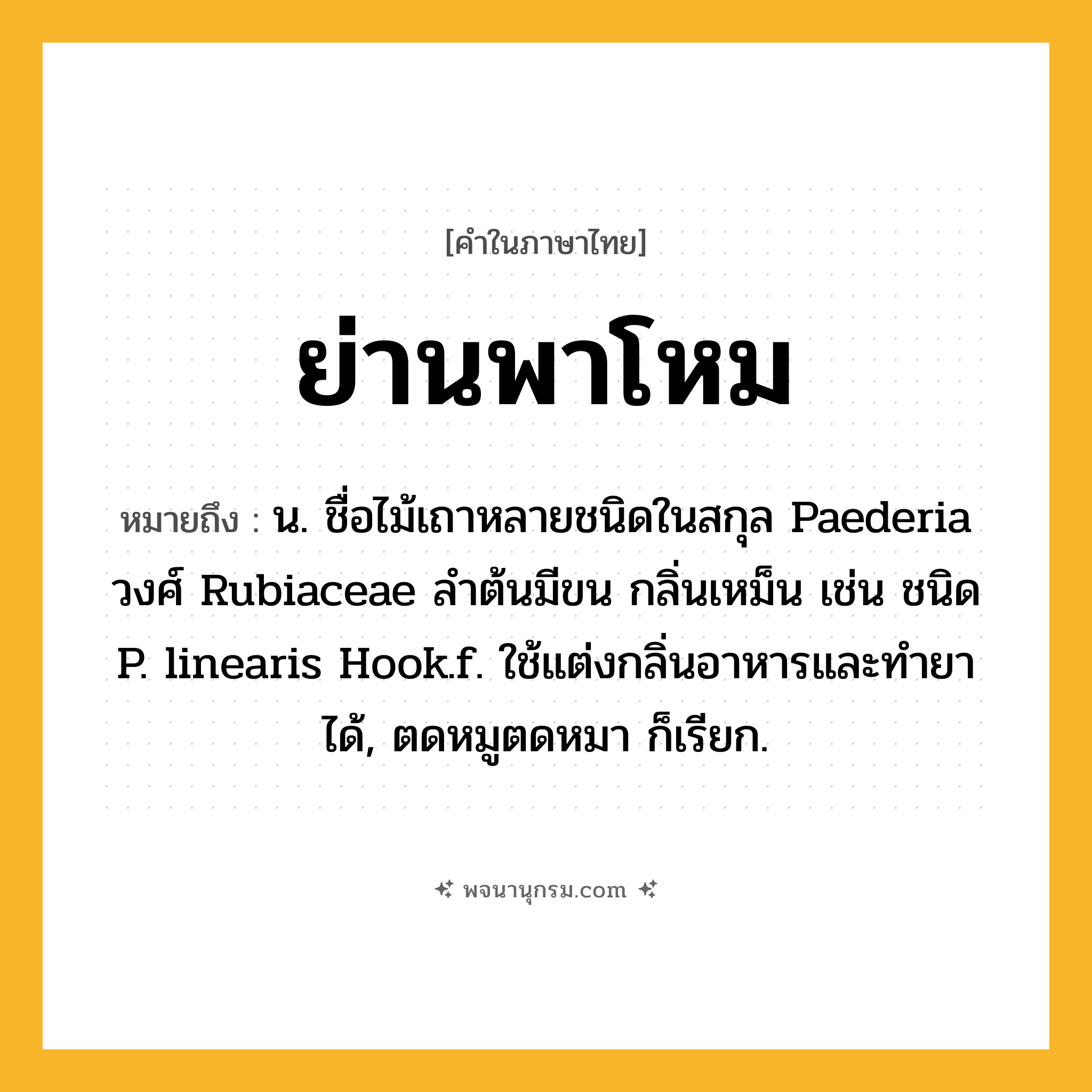 ย่านพาโหม ความหมาย หมายถึงอะไร?, คำในภาษาไทย ย่านพาโหม หมายถึง น. ชื่อไม้เถาหลายชนิดในสกุล Paederia วงศ์ Rubiaceae ลำต้นมีขน กลิ่นเหม็น เช่น ชนิด P. linearis Hook.f. ใช้แต่งกลิ่นอาหารและทำยาได้, ตดหมูตดหมา ก็เรียก.