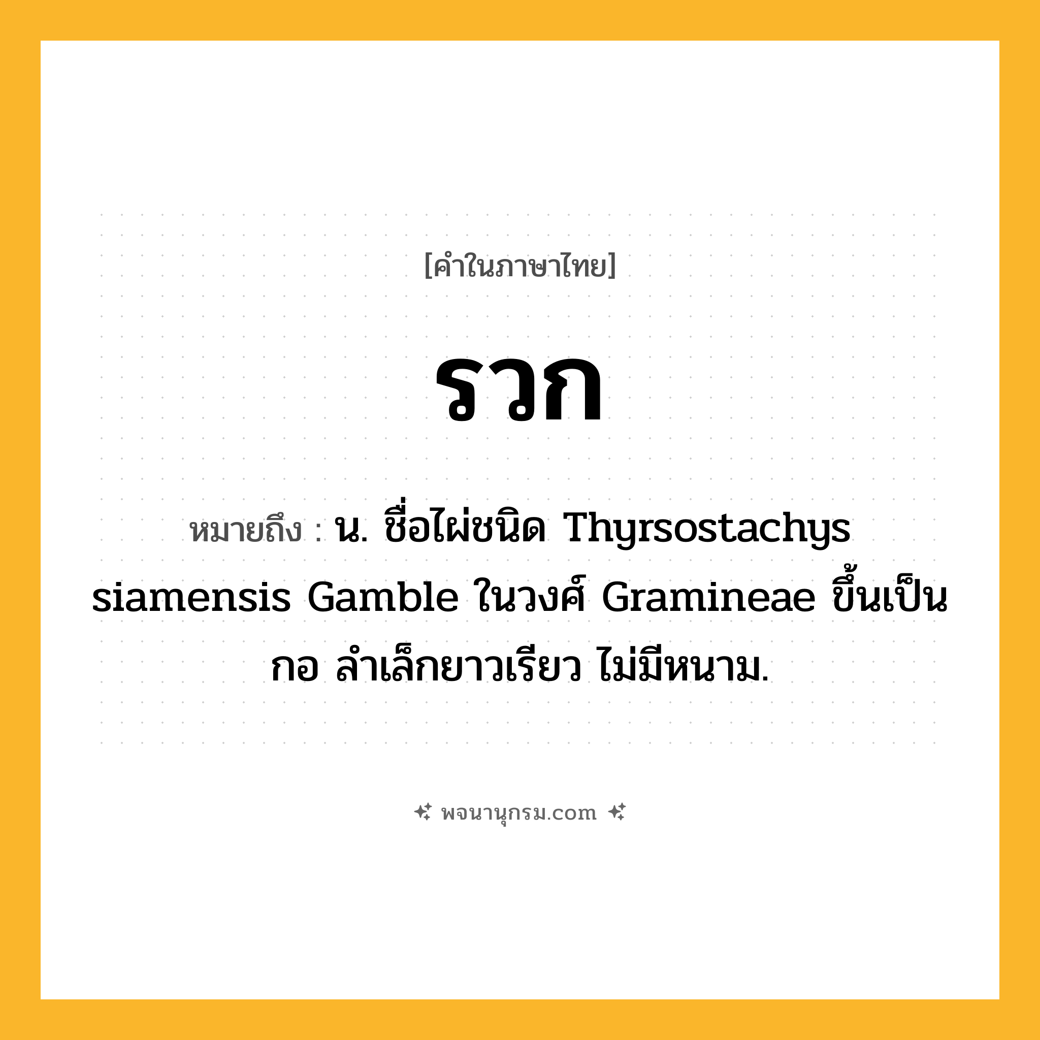 รวก ความหมาย หมายถึงอะไร?, คำในภาษาไทย รวก หมายถึง น. ชื่อไผ่ชนิด Thyrsostachys siamensis Gamble ในวงศ์ Gramineae ขึ้นเป็นกอ ลําเล็กยาวเรียว ไม่มีหนาม.