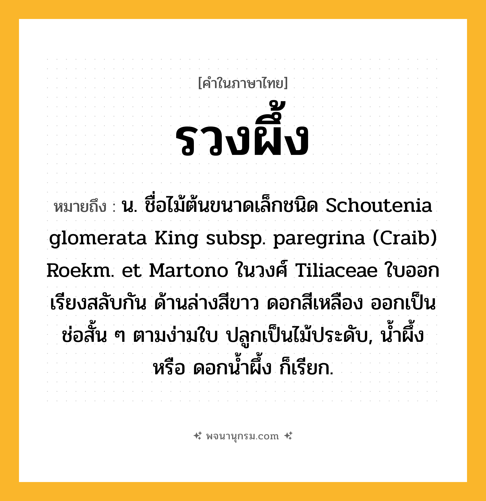 รวงผึ้ง ความหมาย หมายถึงอะไร?, คำในภาษาไทย รวงผึ้ง หมายถึง น. ชื่อไม้ต้นขนาดเล็กชนิด Schoutenia glomerata King subsp. paregrina (Craib) Roekm. et Martono ในวงศ์ Tiliaceae ใบออกเรียงสลับกัน ด้านล่างสีขาว ดอกสีเหลือง ออกเป็นช่อสั้น ๆ ตามง่ามใบ ปลูกเป็นไม้ประดับ, นํ้าผึ้ง หรือ ดอกนํ้าผึ้ง ก็เรียก.