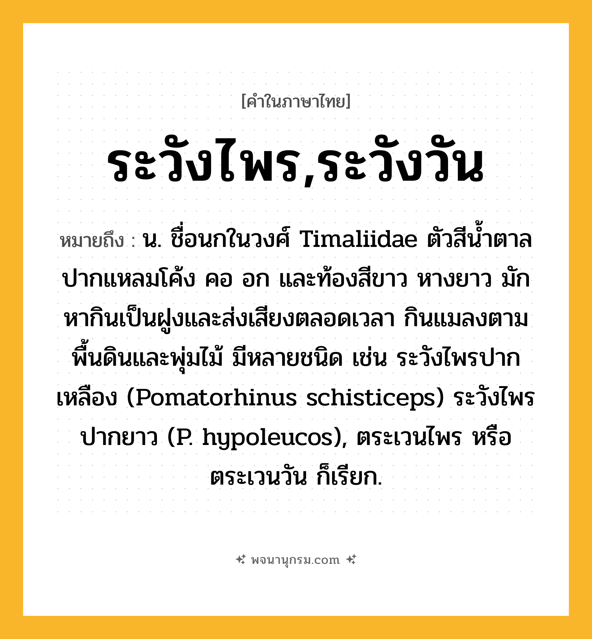 ระวังไพร,ระวังวัน ความหมาย หมายถึงอะไร?, คำในภาษาไทย ระวังไพร,ระวังวัน หมายถึง น. ชื่อนกในวงศ์ Timaliidae ตัวสีนํ้าตาล ปากแหลมโค้ง คอ อก และท้องสีขาว หางยาว มักหากินเป็นฝูงและส่งเสียงตลอดเวลา กินแมลงตามพื้นดินและพุ่มไม้ มีหลายชนิด เช่น ระวังไพรปากเหลือง (Pomatorhinus schisticeps) ระวังไพรปากยาว (P. hypoleucos), ตระเวนไพร หรือ ตระเวนวัน ก็เรียก.