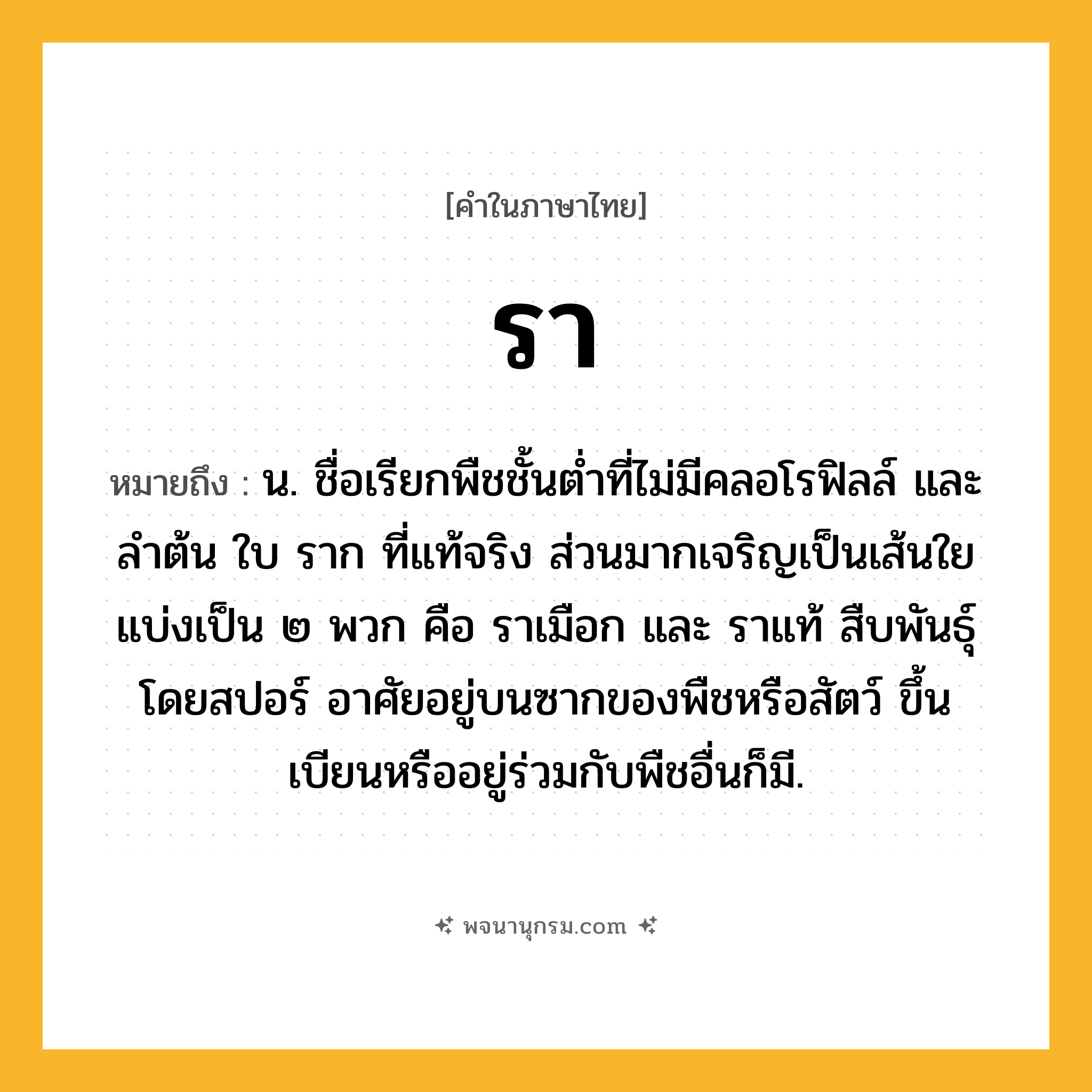 รา ความหมาย หมายถึงอะไร?, คำในภาษาไทย รา หมายถึง น. ชื่อเรียกพืชชั้นตํ่าที่ไม่มีคลอโรฟิลล์ และลําต้น ใบ ราก ที่แท้จริง ส่วนมากเจริญเป็นเส้นใย แบ่งเป็น ๒ พวก คือ ราเมือก และ ราแท้ สืบพันธุ์โดยสปอร์ อาศัยอยู่บนซากของพืชหรือสัตว์ ขึ้นเบียนหรืออยู่ร่วมกับพืชอื่นก็มี.