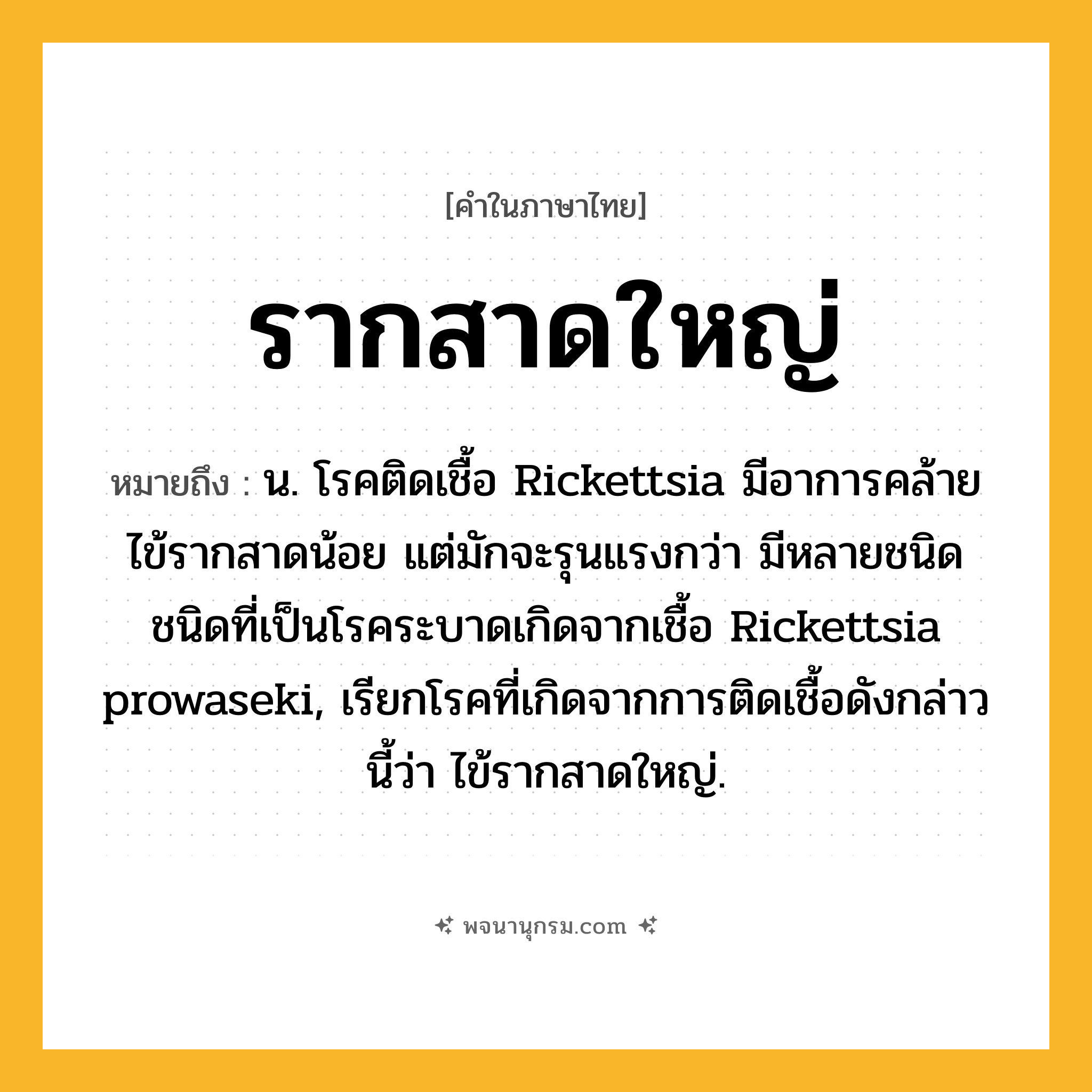 รากสาดใหญ่ ความหมาย หมายถึงอะไร?, คำในภาษาไทย รากสาดใหญ่ หมายถึง น. โรคติดเชื้อ Rickettsia มีอาการคล้ายไข้รากสาดน้อย แต่มักจะรุนแรงกว่า มีหลายชนิด ชนิดที่เป็นโรคระบาดเกิดจากเชื้อ Rickettsia prowaseki, เรียกโรคที่เกิดจากการติดเชื้อดังกล่าวนี้ว่า ไข้รากสาดใหญ่.