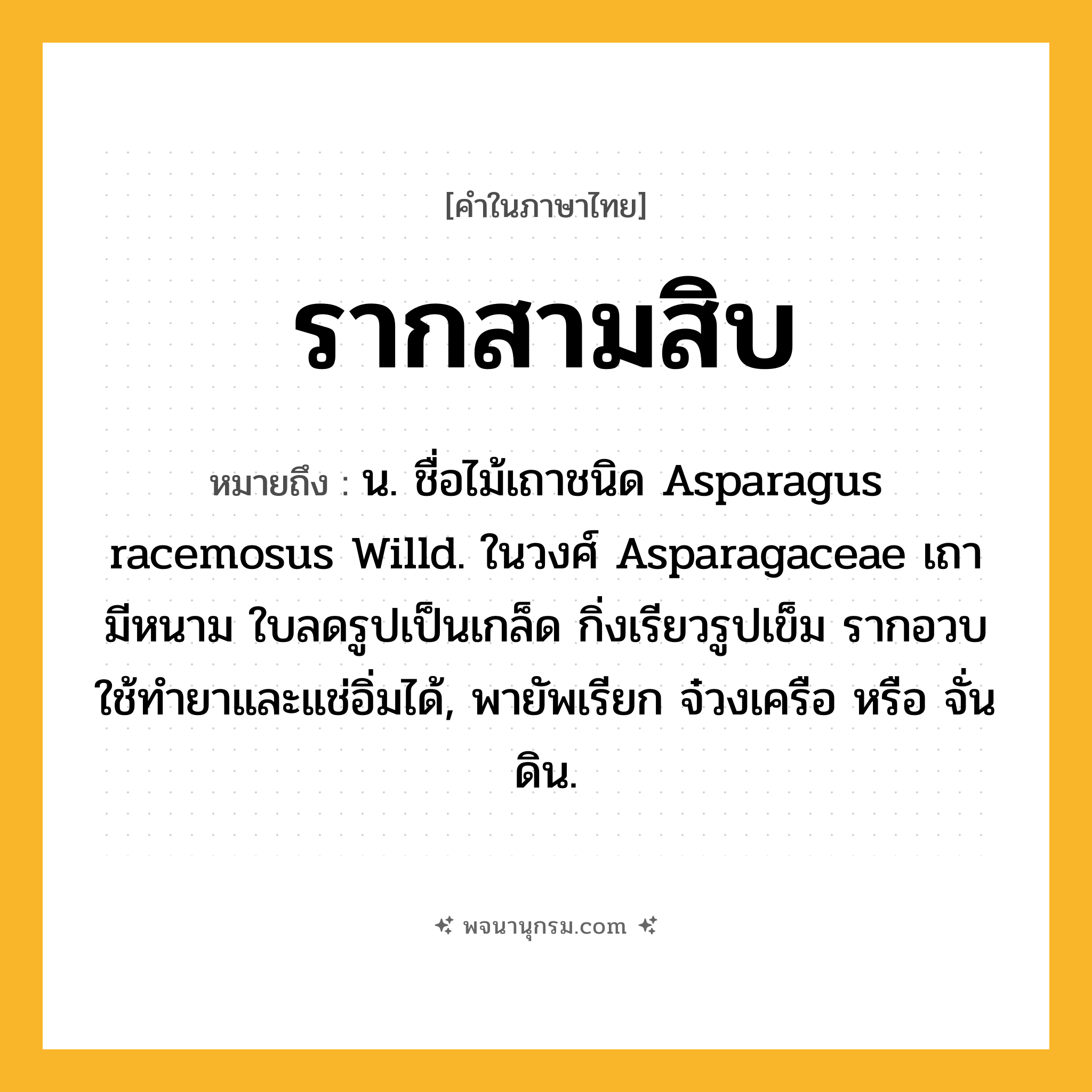 รากสามสิบ ความหมาย หมายถึงอะไร?, คำในภาษาไทย รากสามสิบ หมายถึง น. ชื่อไม้เถาชนิด Asparagus racemosus Willd. ในวงศ์ Asparagaceae เถามีหนาม ใบลดรูปเป็นเกล็ด กิ่งเรียวรูปเข็ม รากอวบใช้ทํายาและแช่อิ่มได้, พายัพเรียก จ๋วงเครือ หรือ จั่นดิน.