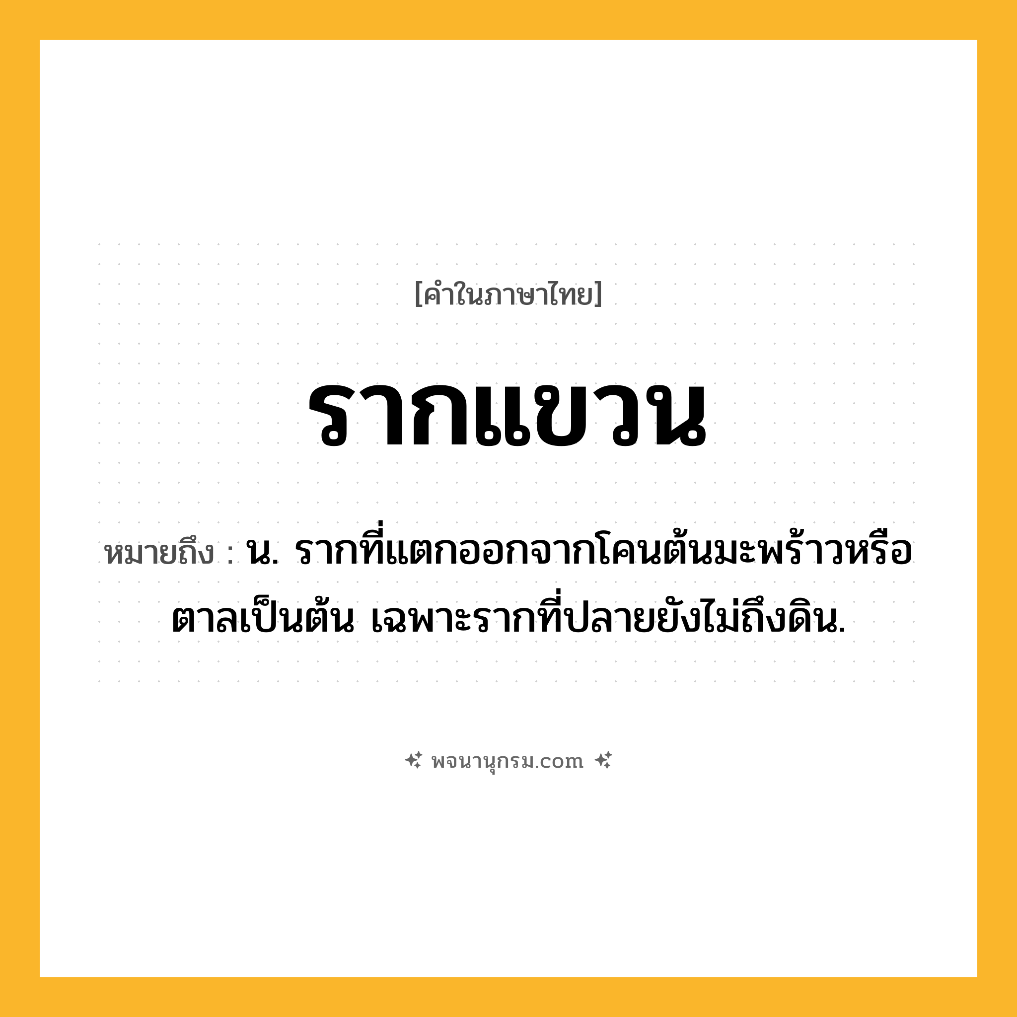รากแขวน ความหมาย หมายถึงอะไร?, คำในภาษาไทย รากแขวน หมายถึง น. รากที่แตกออกจากโคนต้นมะพร้าวหรือตาลเป็นต้น เฉพาะรากที่ปลายยังไม่ถึงดิน.