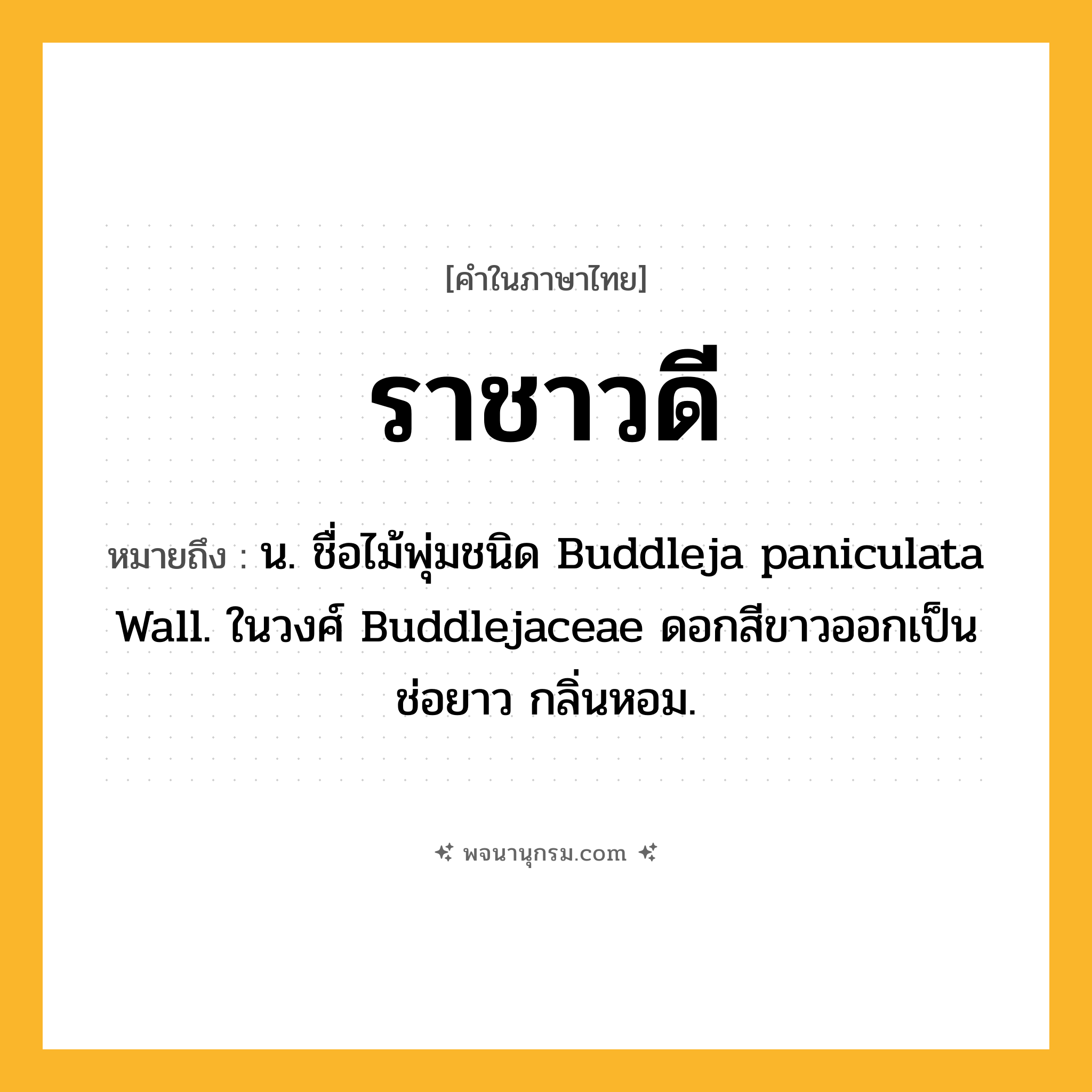 ราชาวดี ความหมาย หมายถึงอะไร?, คำในภาษาไทย ราชาวดี หมายถึง น. ชื่อไม้พุ่มชนิด Buddleja paniculata Wall. ในวงศ์ Buddlejaceae ดอกสีขาวออกเป็นช่อยาว กลิ่นหอม.