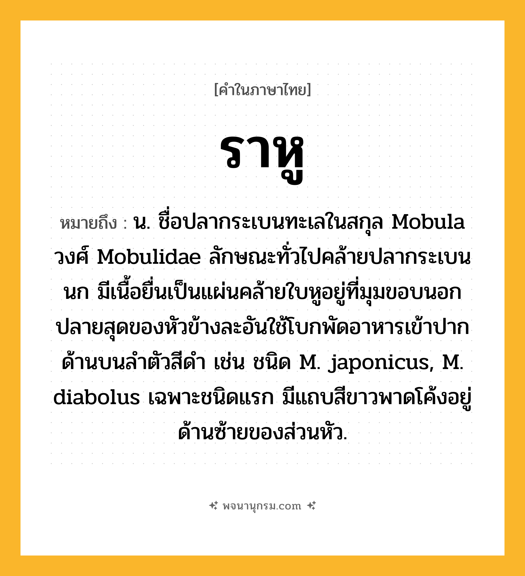 ราหู ความหมาย หมายถึงอะไร?, คำในภาษาไทย ราหู หมายถึง น. ชื่อปลากระเบนทะเลในสกุล Mobula วงศ์ Mobulidae ลักษณะทั่วไปคล้ายปลากระเบนนก มีเนื้อยื่นเป็นแผ่นคล้ายใบหูอยู่ที่มุมขอบนอกปลายสุดของหัวข้างละอันใช้โบกพัดอาหารเข้าปาก ด้านบนลําตัวสีดํา เช่น ชนิด M. japonicus, M. diabolus เฉพาะชนิดแรก มีแถบสีขาวพาดโค้งอยู่ด้านซ้ายของส่วนหัว.