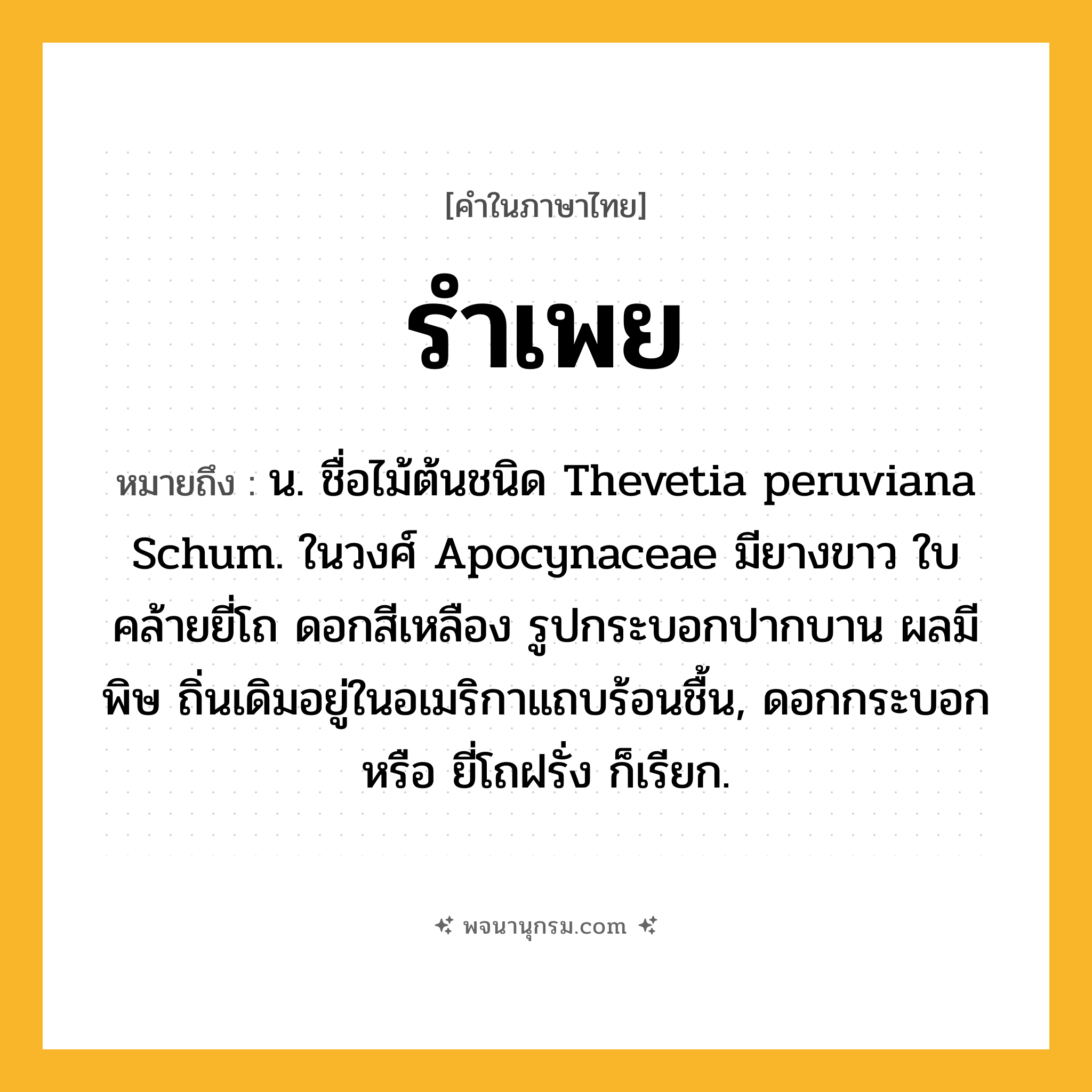 รำเพย ความหมาย หมายถึงอะไร?, คำในภาษาไทย รำเพย หมายถึง น. ชื่อไม้ต้นชนิด Thevetia peruviana Schum. ในวงศ์ Apocynaceae มียางขาว ใบคล้ายยี่โถ ดอกสีเหลือง รูปกระบอกปากบาน ผลมีพิษ ถิ่นเดิมอยู่ในอเมริกาแถบร้อนชื้น, ดอกกระบอก หรือ ยี่โถฝรั่ง ก็เรียก.