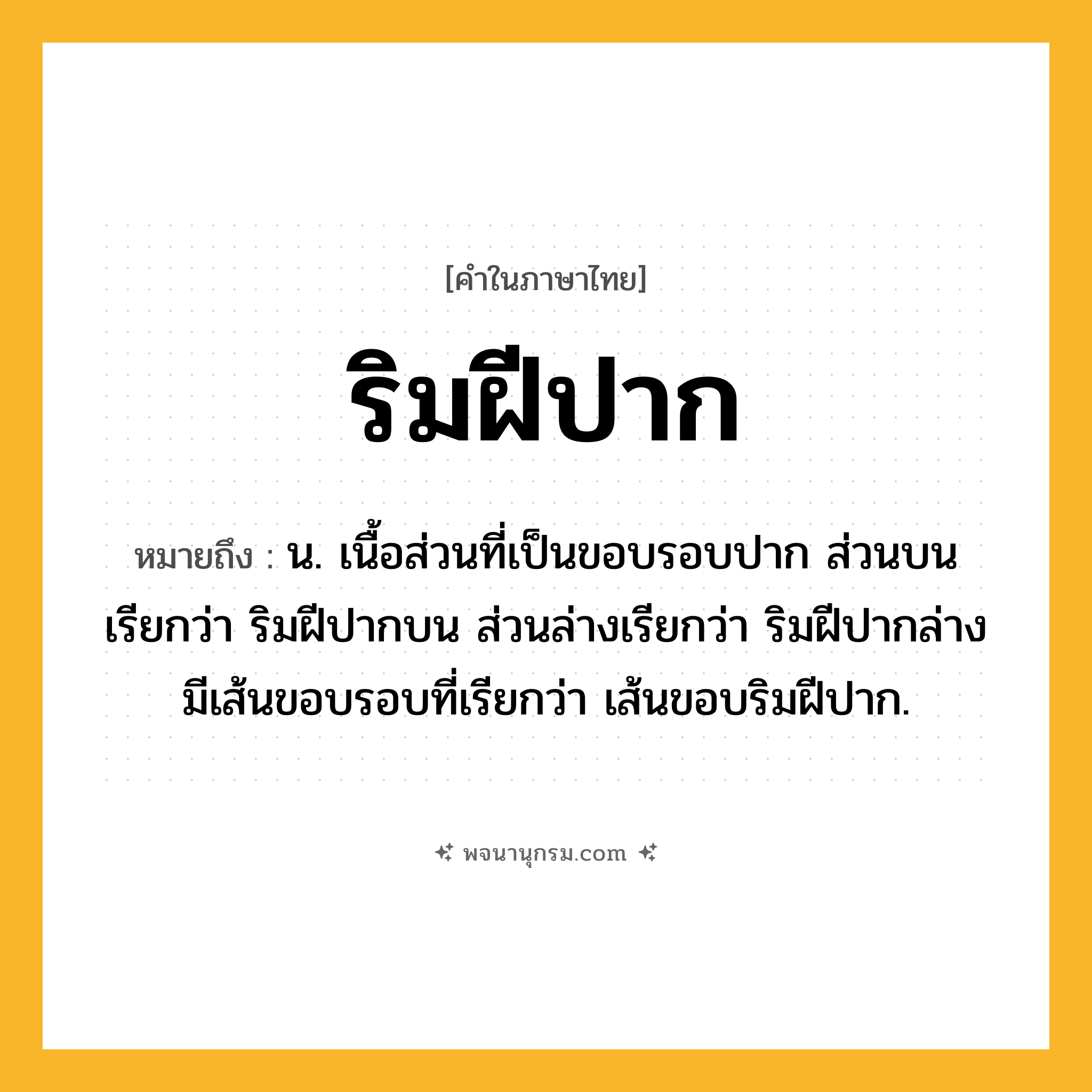 ริมฝีปาก ความหมาย หมายถึงอะไร?, คำในภาษาไทย ริมฝีปาก หมายถึง น. เนื้อส่วนที่เป็นขอบรอบปาก ส่วนบนเรียกว่า ริมฝีปากบน ส่วนล่างเรียกว่า ริมฝีปากล่าง มีเส้นขอบรอบที่เรียกว่า เส้นขอบริมฝีปาก.