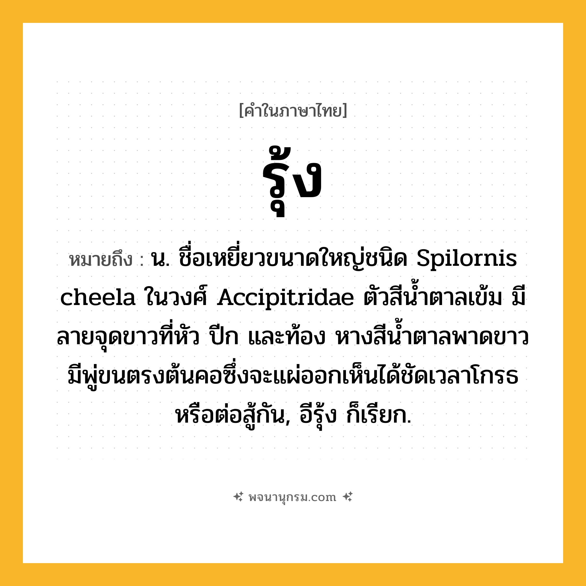 รุ้ง ความหมาย หมายถึงอะไร?, คำในภาษาไทย รุ้ง หมายถึง น. ชื่อเหยี่ยวขนาดใหญ่ชนิด Spilornis cheela ในวงศ์ Accipitridae ตัวสีนํ้าตาลเข้ม มีลายจุดขาวที่หัว ปีก และท้อง หางสีนํ้าตาลพาดขาว มีพู่ขนตรงต้นคอซึ่งจะแผ่ออกเห็นได้ชัดเวลาโกรธหรือต่อสู้กัน, อีรุ้ง ก็เรียก.
