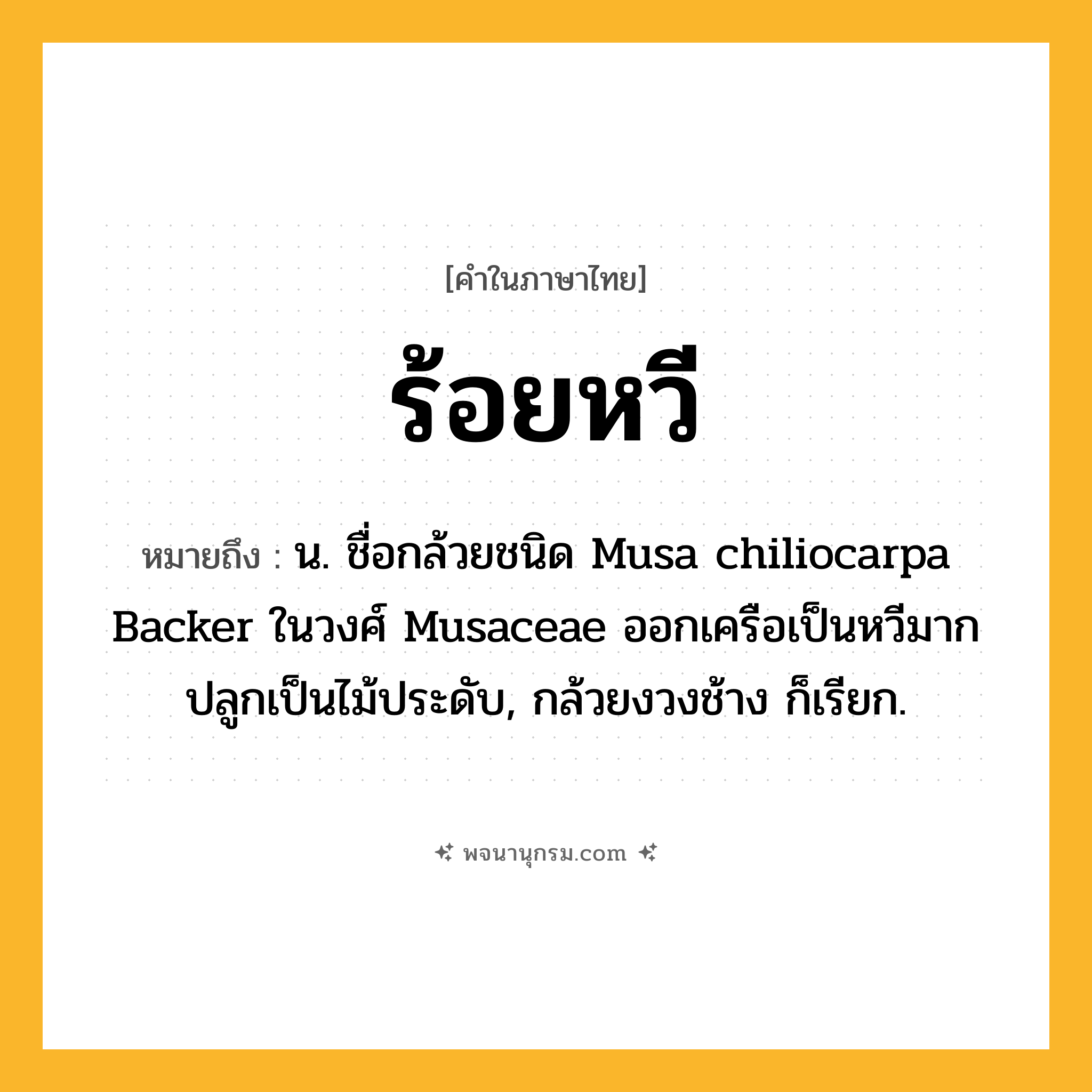 ร้อยหวี ความหมาย หมายถึงอะไร?, คำในภาษาไทย ร้อยหวี หมายถึง น. ชื่อกล้วยชนิด Musa chiliocarpa Backer ในวงศ์ Musaceae ออกเครือเป็นหวีมาก ปลูกเป็นไม้ประดับ, กล้วยงวงช้าง ก็เรียก.