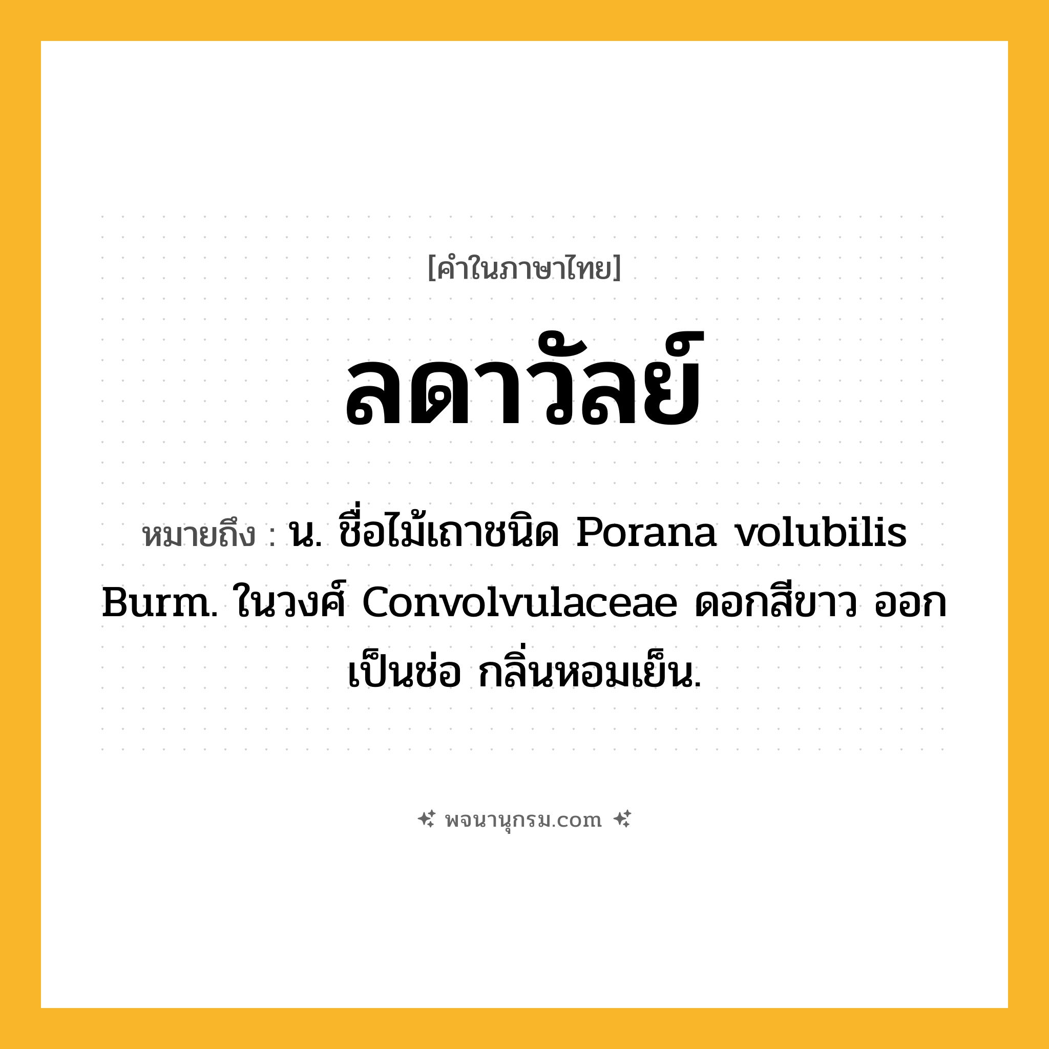ลดาวัลย์ ความหมาย หมายถึงอะไร?, คำในภาษาไทย ลดาวัลย์ หมายถึง น. ชื่อไม้เถาชนิด Porana volubilis Burm. ในวงศ์ Convolvulaceae ดอกสีขาว ออกเป็นช่อ กลิ่นหอมเย็น.
