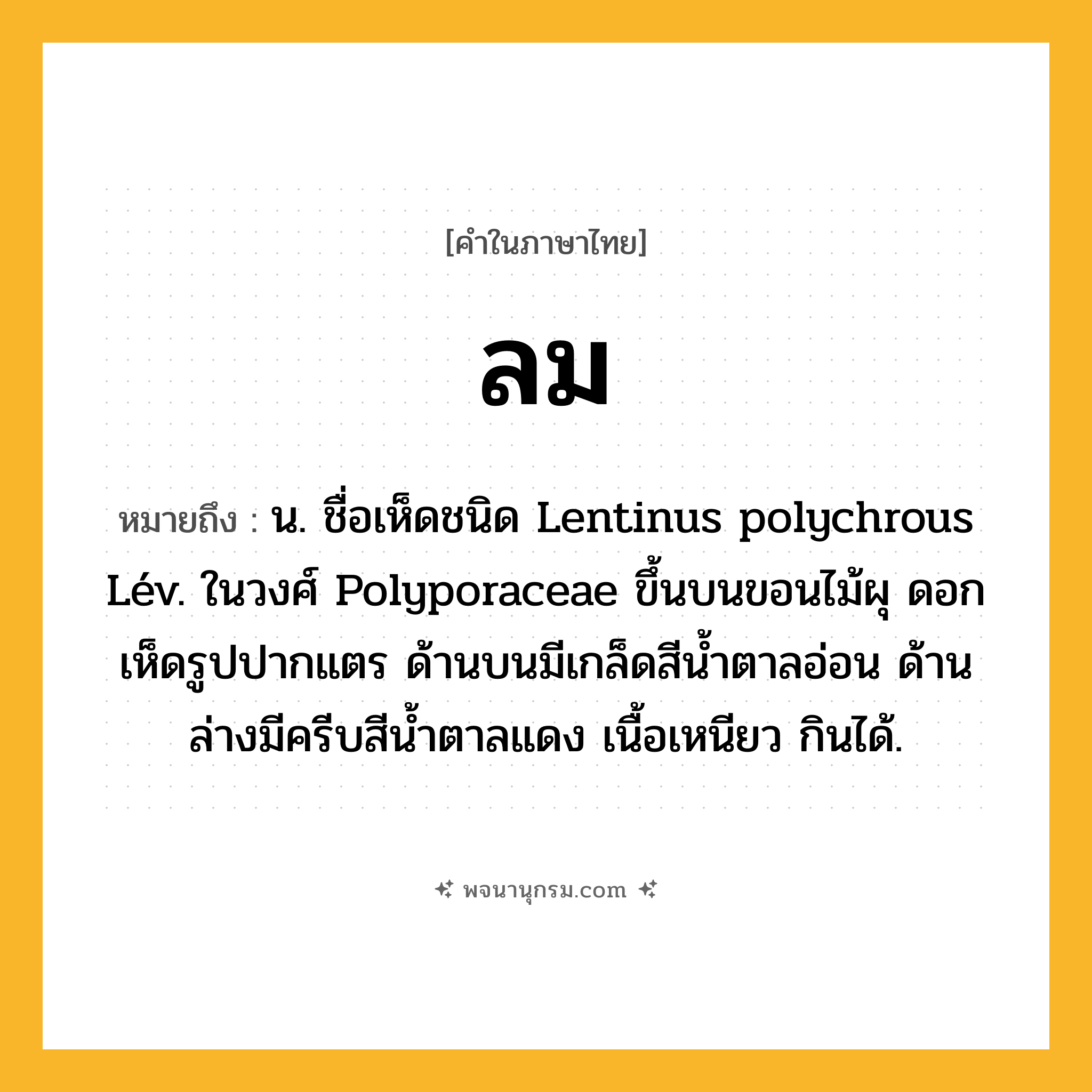 ลม ความหมาย หมายถึงอะไร?, คำในภาษาไทย ลม หมายถึง น. ชื่อเห็ดชนิด Lentinus polychrous Lév. ในวงศ์ Polyporaceae ขึ้นบนขอนไม้ผุ ดอกเห็ดรูปปากแตร ด้านบนมีเกล็ดสีนํ้าตาลอ่อน ด้านล่างมีครีบสีนํ้าตาลแดง เนื้อเหนียว กินได้.