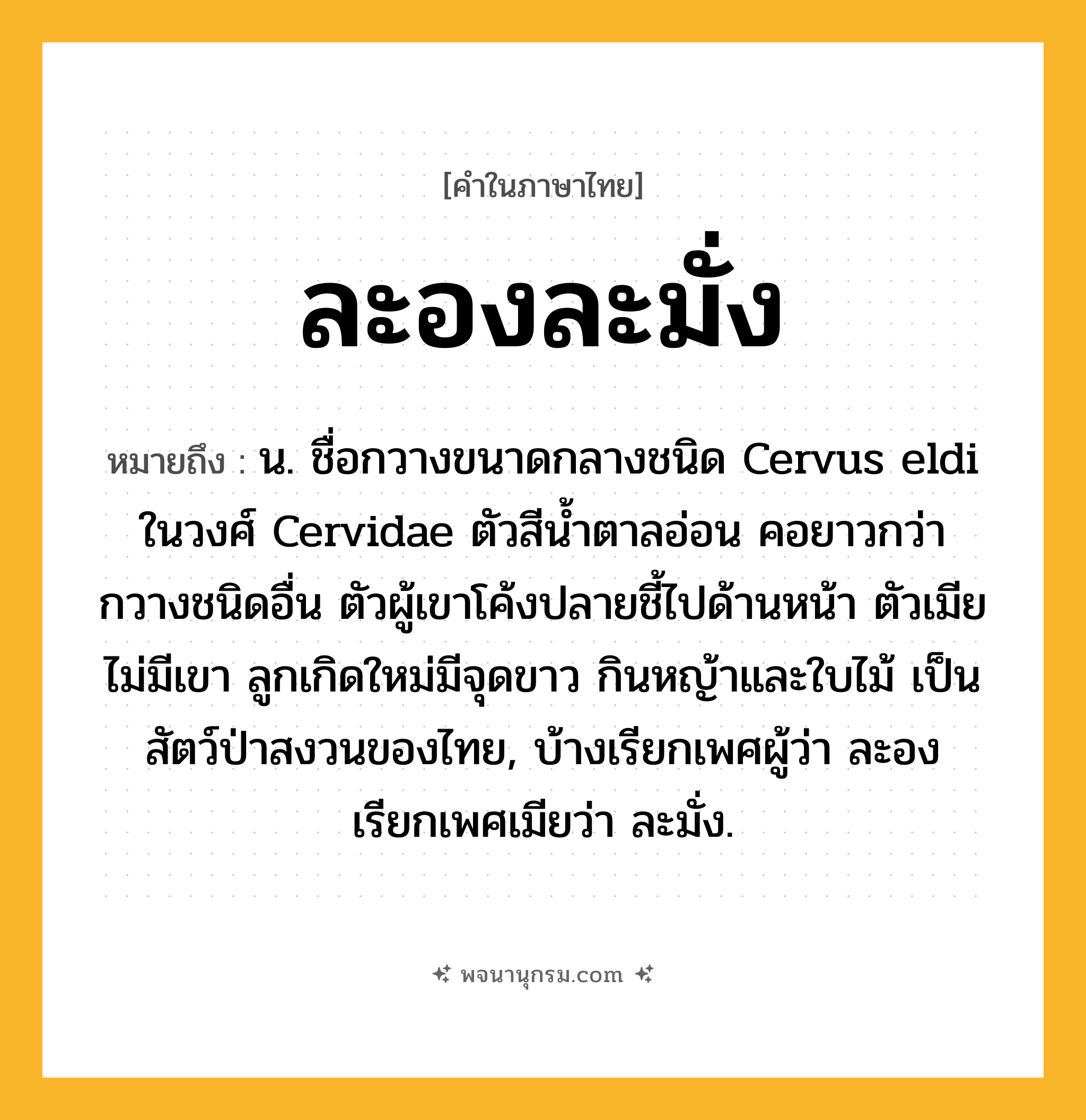 ละองละมั่ง ความหมาย หมายถึงอะไร?, คำในภาษาไทย ละองละมั่ง หมายถึง น. ชื่อกวางขนาดกลางชนิด Cervus eldi ในวงศ์ Cervidae ตัวสีนํ้าตาลอ่อน คอยาวกว่ากวางชนิดอื่น ตัวผู้เขาโค้งปลายชี้ไปด้านหน้า ตัวเมียไม่มีเขา ลูกเกิดใหม่มีจุดขาว กินหญ้าและใบไม้ เป็นสัตว์ป่าสงวนของไทย, บ้างเรียกเพศผู้ว่า ละอง เรียกเพศเมียว่า ละมั่ง.