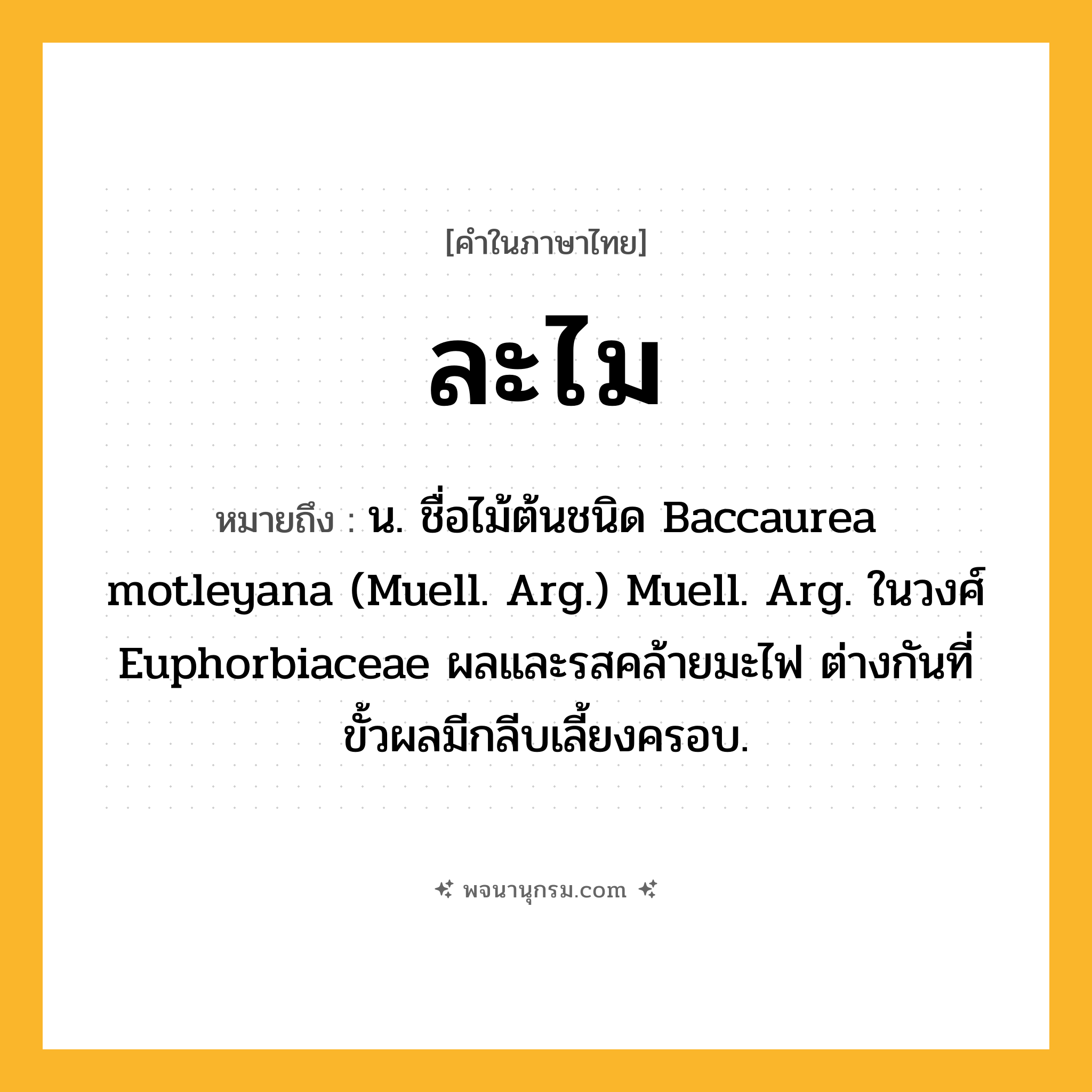 ละไม ความหมาย หมายถึงอะไร?, คำในภาษาไทย ละไม หมายถึง น. ชื่อไม้ต้นชนิด Baccaurea motleyana (Muell. Arg.) Muell. Arg. ในวงศ์ Euphorbiaceae ผลและรสคล้ายมะไฟ ต่างกันที่ขั้วผลมีกลีบเลี้ยงครอบ.