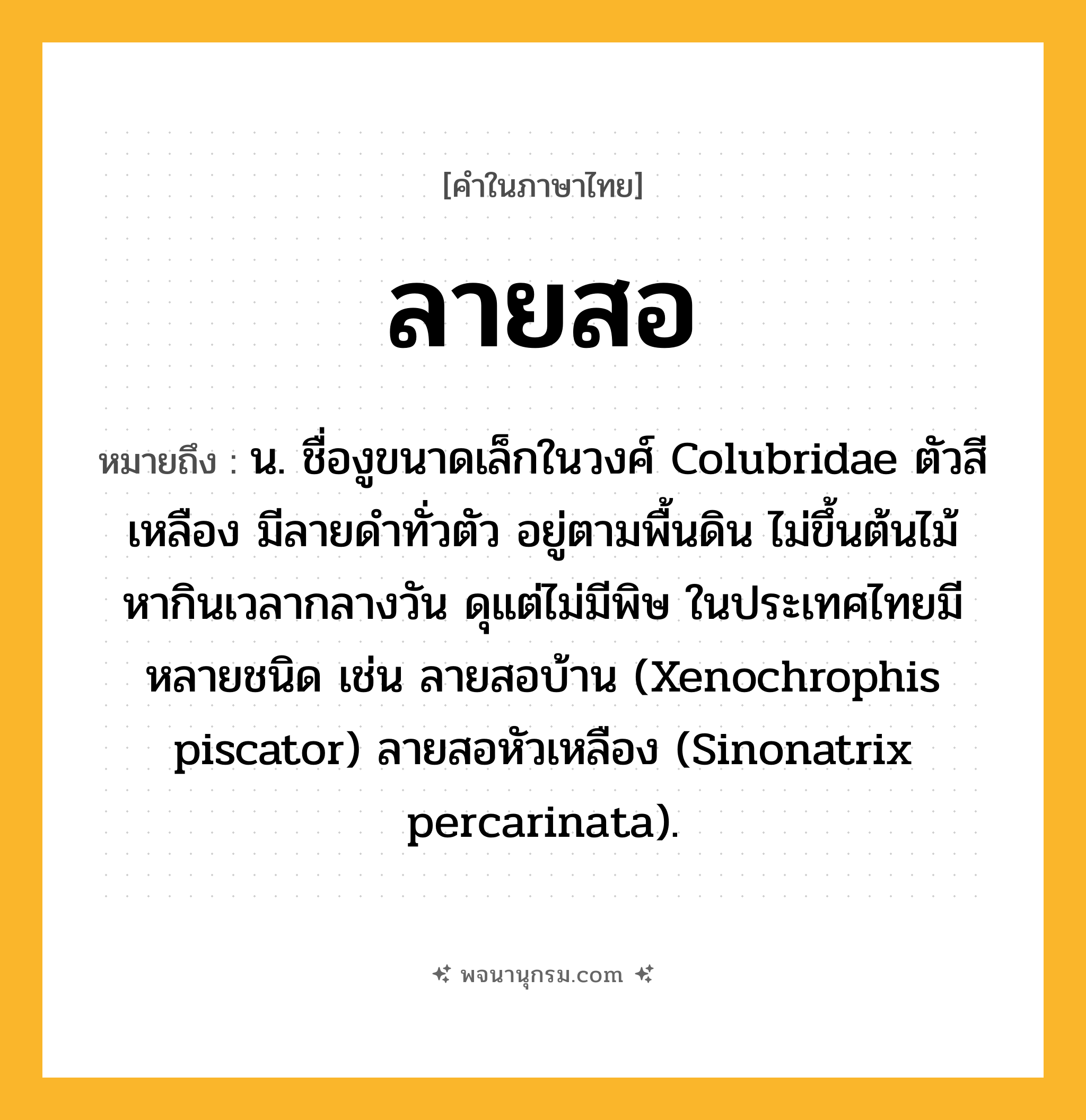 ลายสอ ความหมาย หมายถึงอะไร?, คำในภาษาไทย ลายสอ หมายถึง น. ชื่องูขนาดเล็กในวงศ์ Colubridae ตัวสีเหลือง มีลายดําทั่วตัว อยู่ตามพื้นดิน ไม่ขึ้นต้นไม้ หากินเวลากลางวัน ดุแต่ไม่มีพิษ ในประเทศไทยมีหลายชนิด เช่น ลายสอบ้าน (Xenochrophis piscator) ลายสอหัวเหลือง (Sinonatrix percarinata).