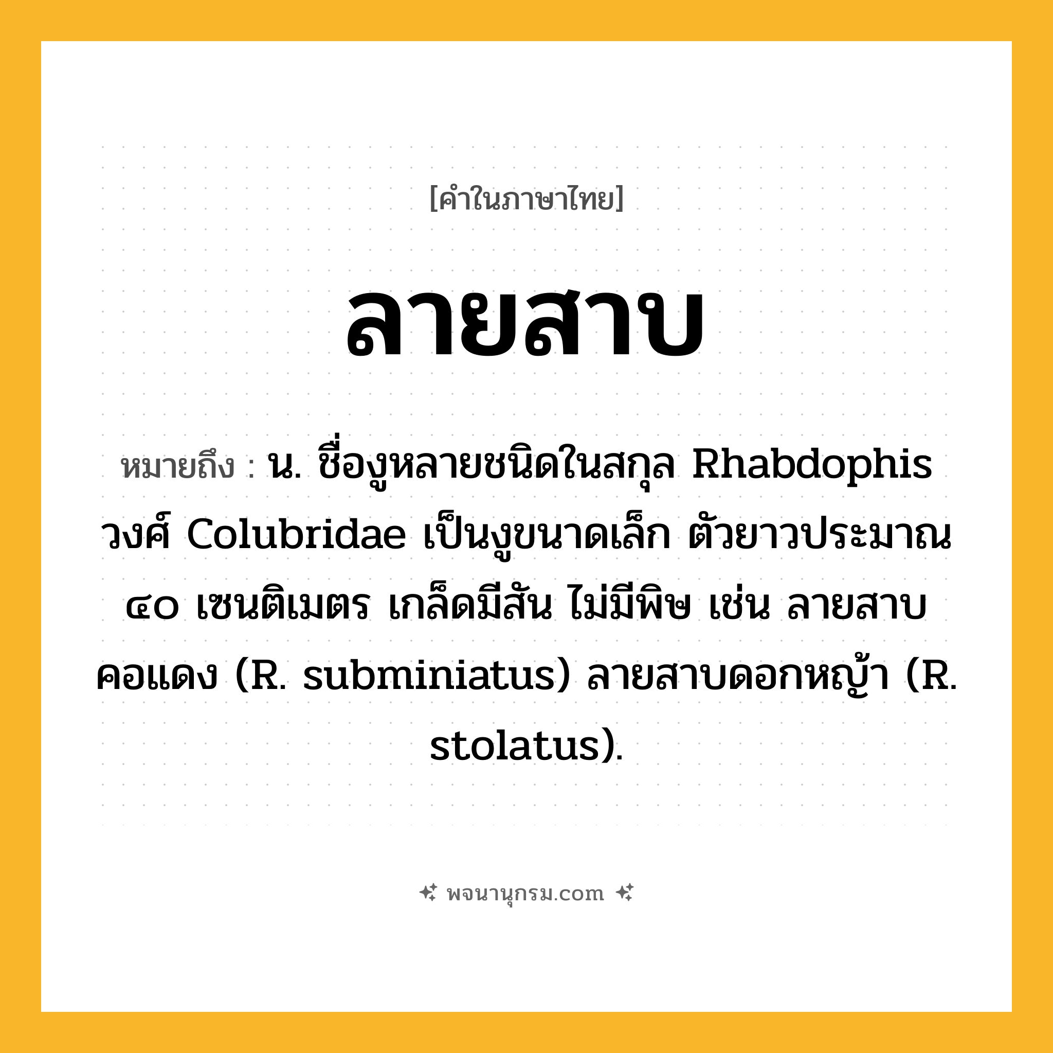ลายสาบ ความหมาย หมายถึงอะไร?, คำในภาษาไทย ลายสาบ หมายถึง น. ชื่องูหลายชนิดในสกุล Rhabdophis วงศ์ Colubridae เป็นงูขนาดเล็ก ตัวยาวประมาณ ๔๐ เซนติเมตร เกล็ดมีสัน ไม่มีพิษ เช่น ลายสาบคอแดง (R. subminiatus) ลายสาบดอกหญ้า (R. stolatus).