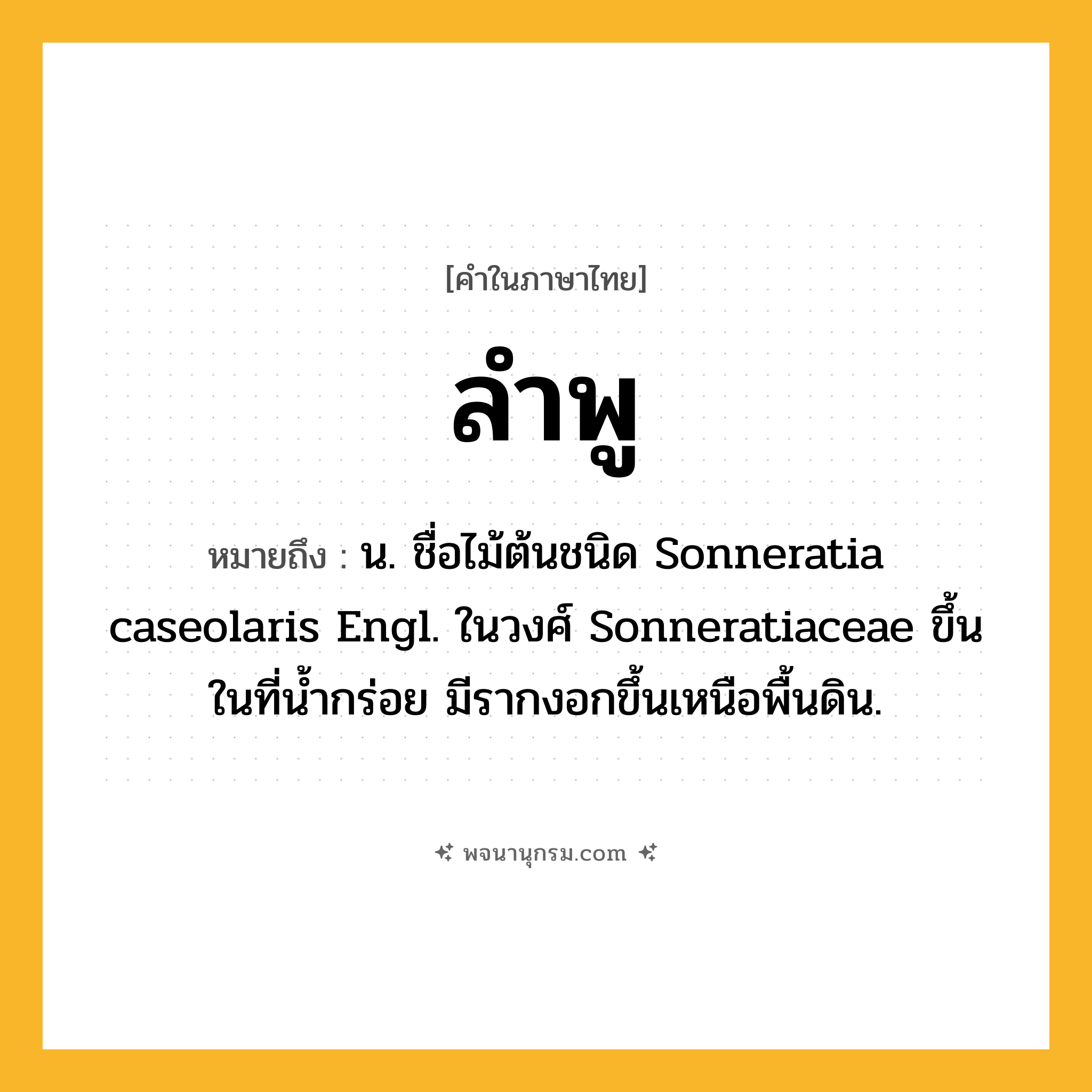 ลำพู ความหมาย หมายถึงอะไร?, คำในภาษาไทย ลำพู หมายถึง น. ชื่อไม้ต้นชนิด Sonneratia caseolaris Engl. ในวงศ์ Sonneratiaceae ขึ้นในที่นํ้ากร่อย มีรากงอกขึ้นเหนือพื้นดิน.