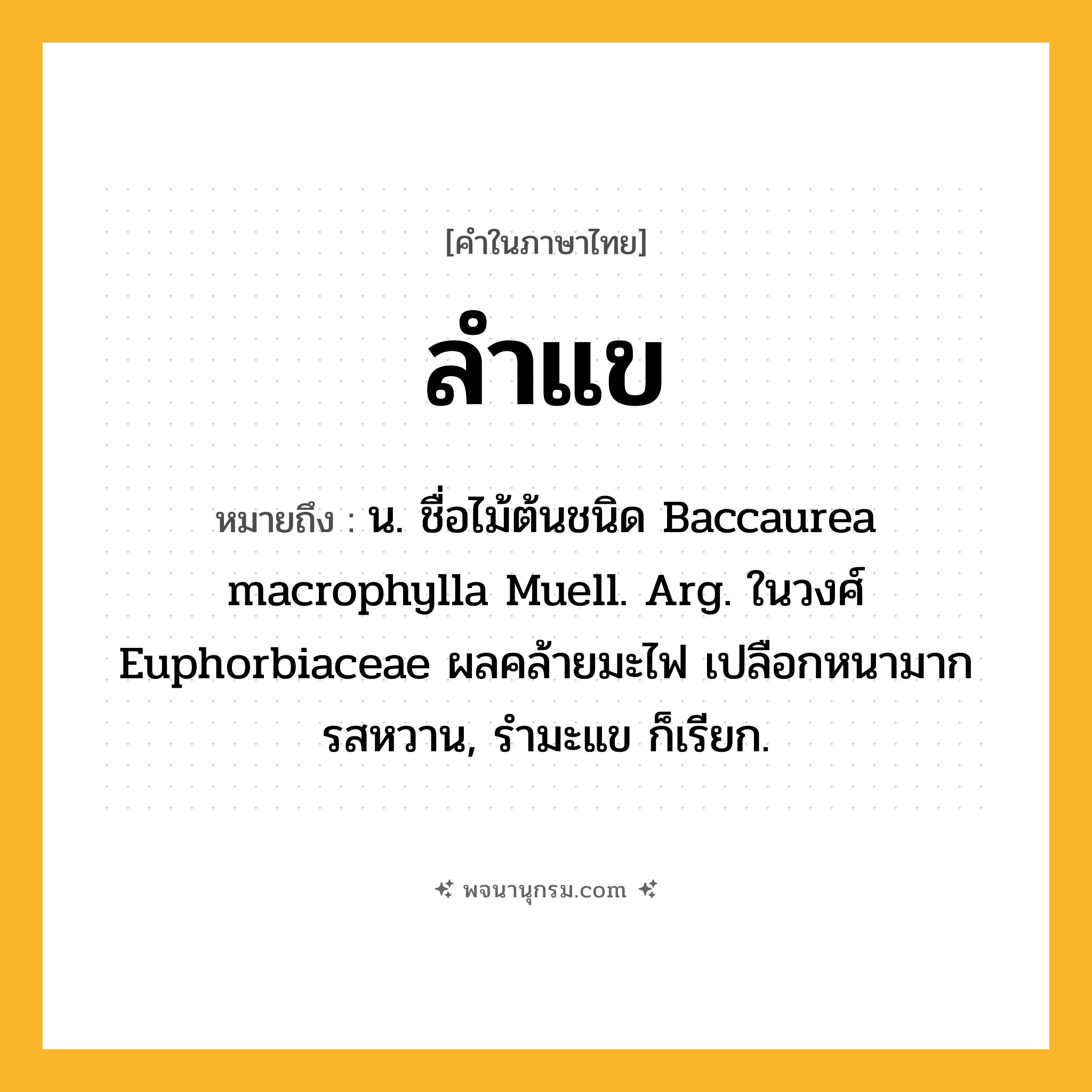 ลำแข ความหมาย หมายถึงอะไร?, คำในภาษาไทย ลำแข หมายถึง น. ชื่อไม้ต้นชนิด Baccaurea macrophylla Muell. Arg. ในวงศ์ Euphorbiaceae ผลคล้ายมะไฟ เปลือกหนามาก รสหวาน, รํามะแข ก็เรียก.