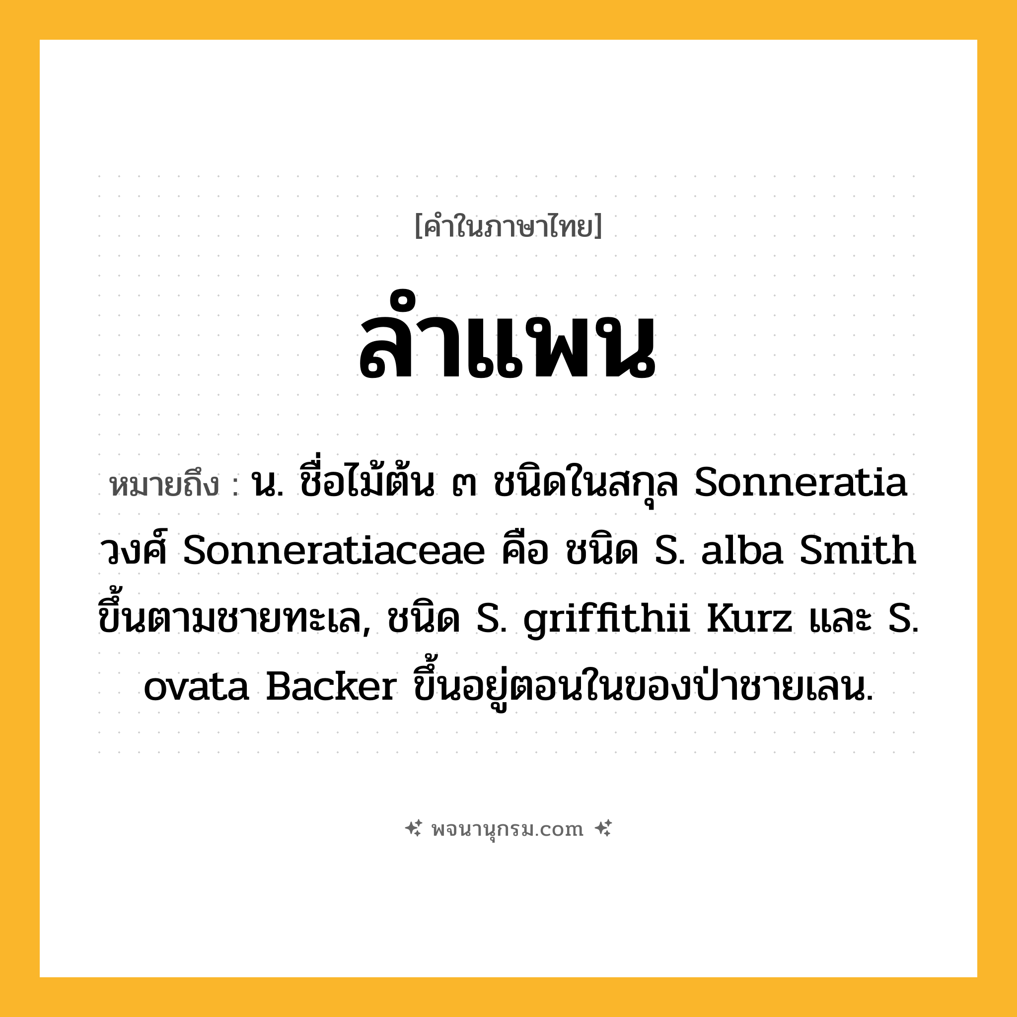 ลำแพน ความหมาย หมายถึงอะไร?, คำในภาษาไทย ลำแพน หมายถึง น. ชื่อไม้ต้น ๓ ชนิดในสกุล Sonneratia วงศ์ Sonneratiaceae คือ ชนิด S. alba Smith ขึ้นตามชายทะเล, ชนิด S. griffithii Kurz และ S. ovata Backer ขึ้นอยู่ตอนในของป่าชายเลน.