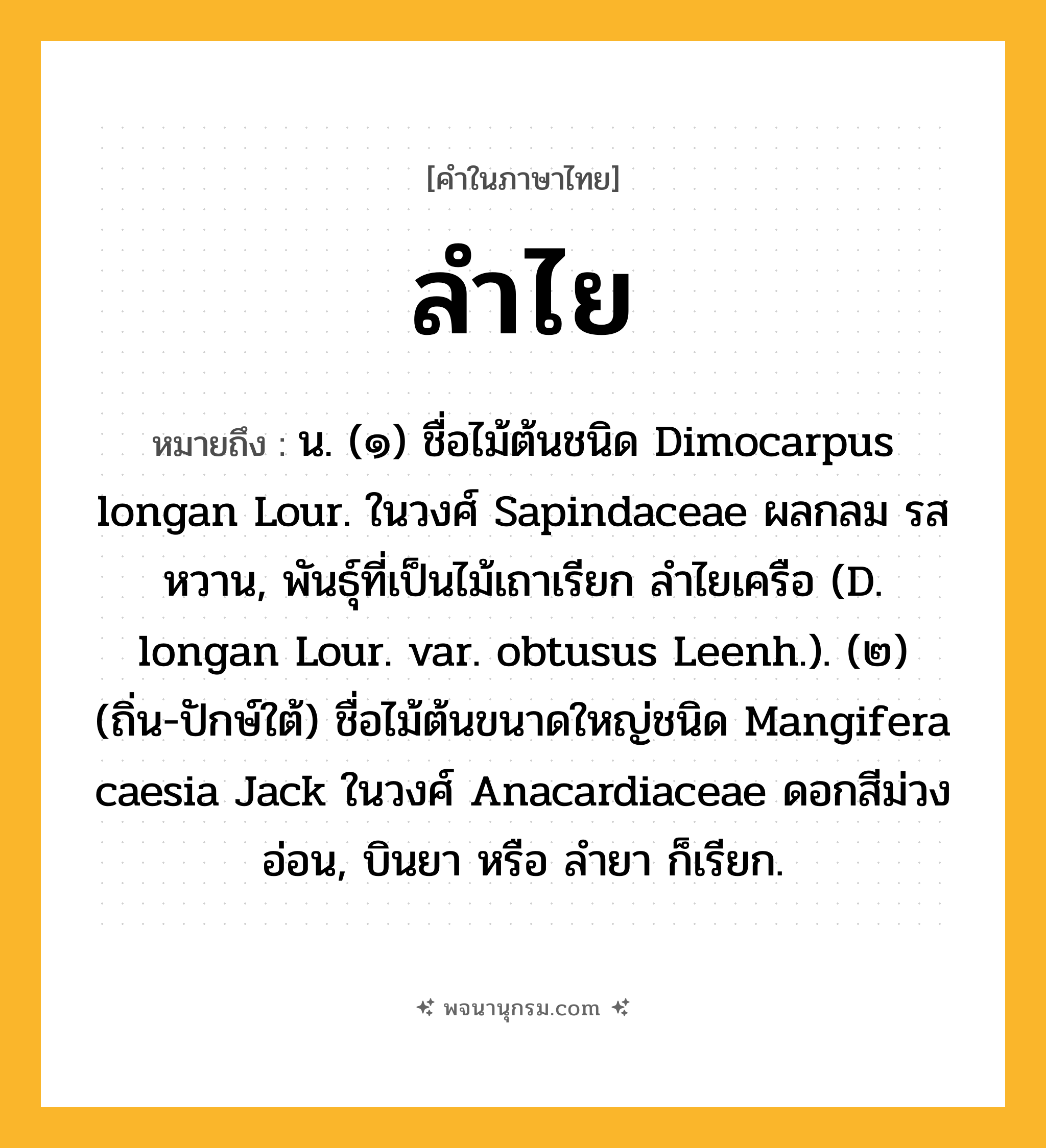 ลำไย ความหมาย หมายถึงอะไร?, คำในภาษาไทย ลำไย หมายถึง น. (๑) ชื่อไม้ต้นชนิด Dimocarpus longan Lour. ในวงศ์ Sapindaceae ผลกลม รสหวาน, พันธุ์ที่เป็นไม้เถาเรียก ลําไยเครือ (D. longan Lour. var. obtusus Leenh.). (๒) (ถิ่น-ปักษ์ใต้) ชื่อไม้ต้นขนาดใหญ่ชนิด Mangifera caesia Jack ในวงศ์ Anacardiaceae ดอกสีม่วงอ่อน, บินยา หรือ ลํายา ก็เรียก.