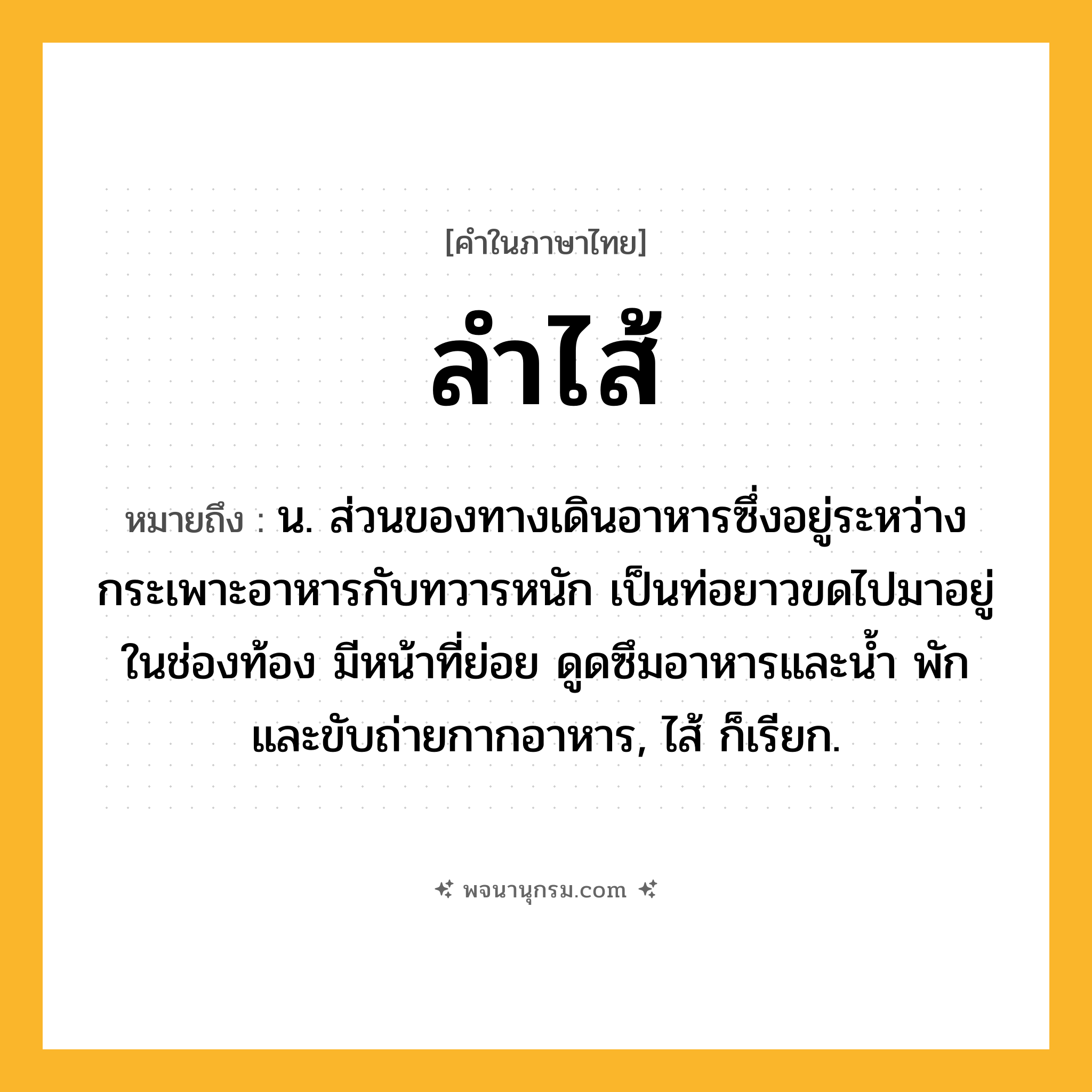 ลำไส้ ความหมาย หมายถึงอะไร?, คำในภาษาไทย ลำไส้ หมายถึง น. ส่วนของทางเดินอาหารซึ่งอยู่ระหว่างกระเพาะอาหารกับทวารหนัก เป็นท่อยาวขดไปมาอยู่ในช่องท้อง มีหน้าที่ย่อย ดูดซึมอาหารและน้ำ พักและขับถ่ายกากอาหาร, ไส้ ก็เรียก.