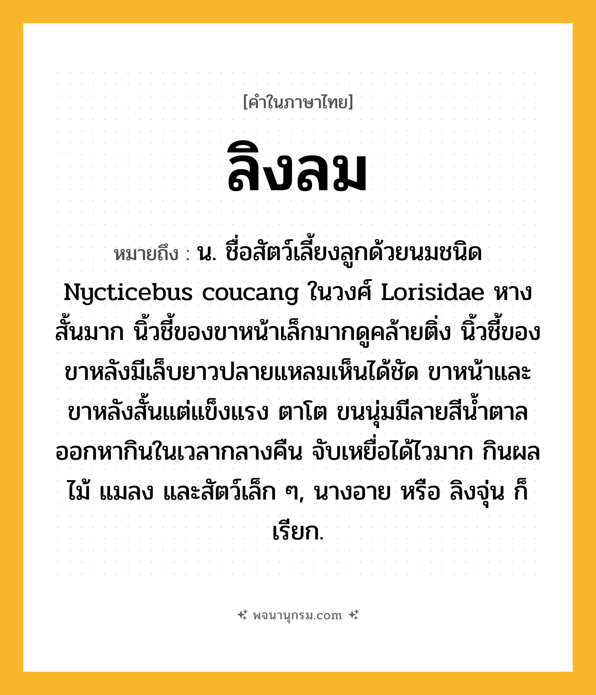 ลิงลม ความหมาย หมายถึงอะไร?, คำในภาษาไทย ลิงลม หมายถึง น. ชื่อสัตว์เลี้ยงลูกด้วยนมชนิด Nycticebus coucang ในวงศ์ Lorisidae หางสั้นมาก นิ้วชี้ของขาหน้าเล็กมากดูคล้ายติ่ง นิ้วชี้ของขาหลังมีเล็บยาวปลายแหลมเห็นได้ชัด ขาหน้าและขาหลังสั้นแต่แข็งแรง ตาโต ขนนุ่มมีลายสีนํ้าตาล ออกหากินในเวลากลางคืน จับเหยื่อได้ไวมาก กินผลไม้ แมลง และสัตว์เล็ก ๆ, นางอาย หรือ ลิงจุ่น ก็เรียก.