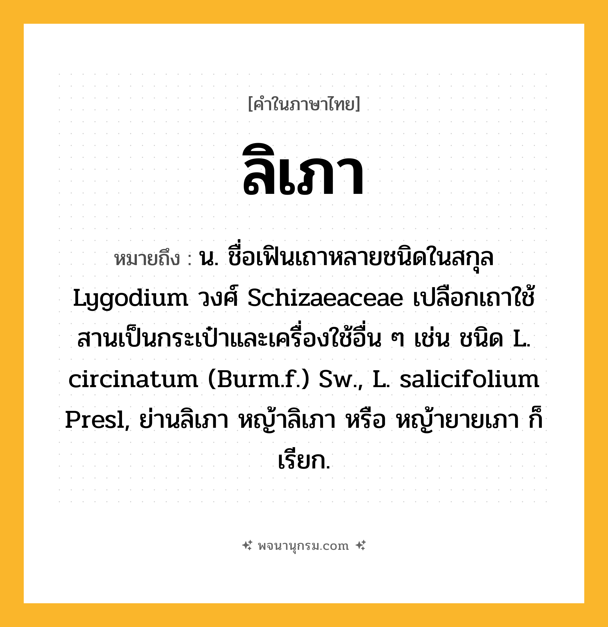 ลิเภา ความหมาย หมายถึงอะไร?, คำในภาษาไทย ลิเภา หมายถึง น. ชื่อเฟินเถาหลายชนิดในสกุล Lygodium วงศ์ Schizaeaceae เปลือกเถาใช้สานเป็นกระเป๋าและเครื่องใช้อื่น ๆ เช่น ชนิด L. circinatum (Burm.f.) Sw., L. salicifolium Presl, ย่านลิเภา หญ้าลิเภา หรือ หญ้ายายเภา ก็เรียก.