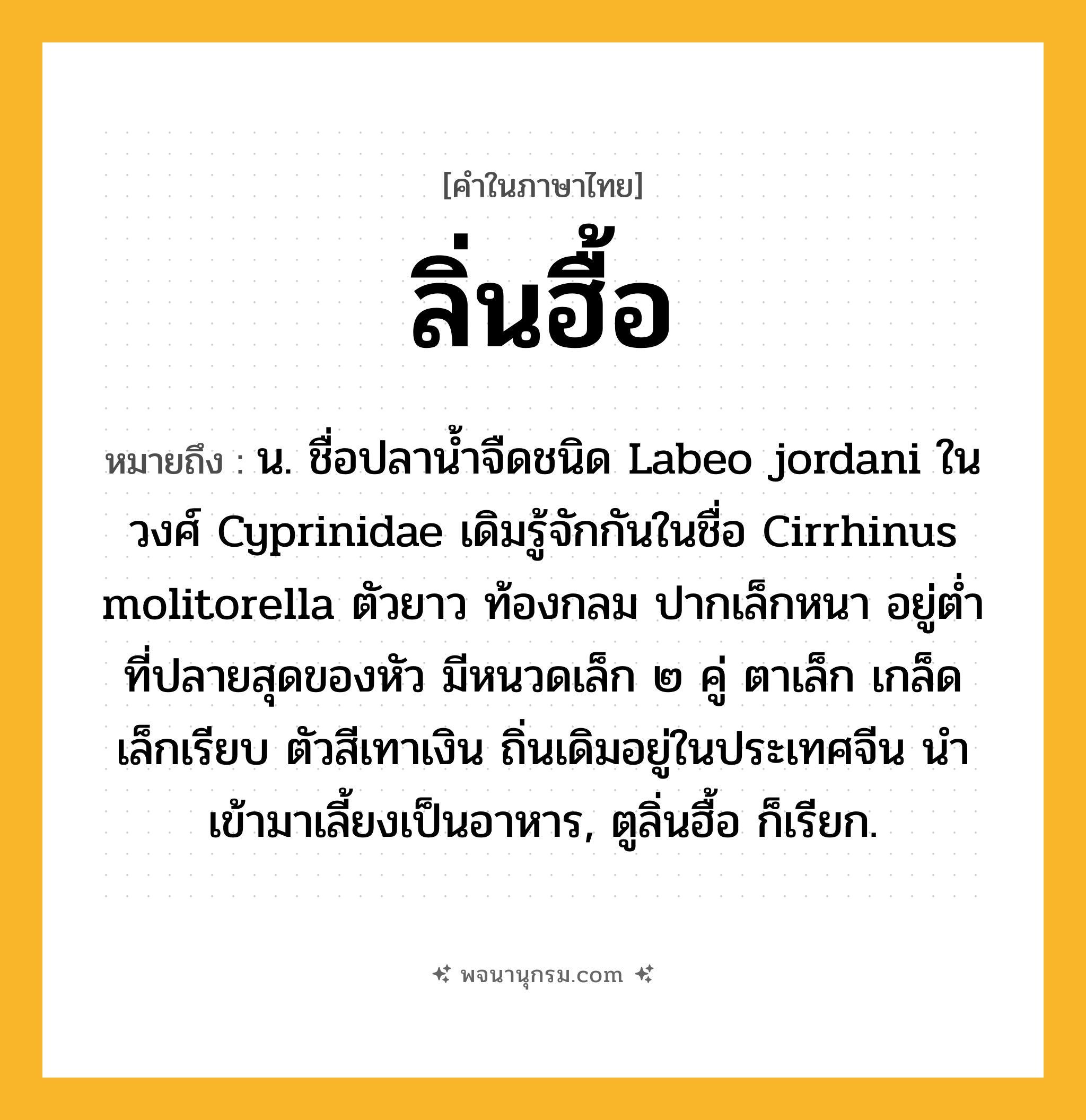 ลิ่นฮื้อ ความหมาย หมายถึงอะไร?, คำในภาษาไทย ลิ่นฮื้อ หมายถึง น. ชื่อปลาน้ำจืดชนิด Labeo jordani ในวงศ์ Cyprinidae เดิมรู้จักกันในชื่อ Cirrhinus molitorella ตัวยาว ท้องกลม ปากเล็กหนา อยู่ตํ่าที่ปลายสุดของหัว มีหนวดเล็ก ๒ คู่ ตาเล็ก เกล็ดเล็กเรียบ ตัวสีเทาเงิน ถิ่นเดิมอยู่ในประเทศจีน นําเข้ามาเลี้ยงเป็นอาหาร, ตูลิ่นฮื้อ ก็เรียก.