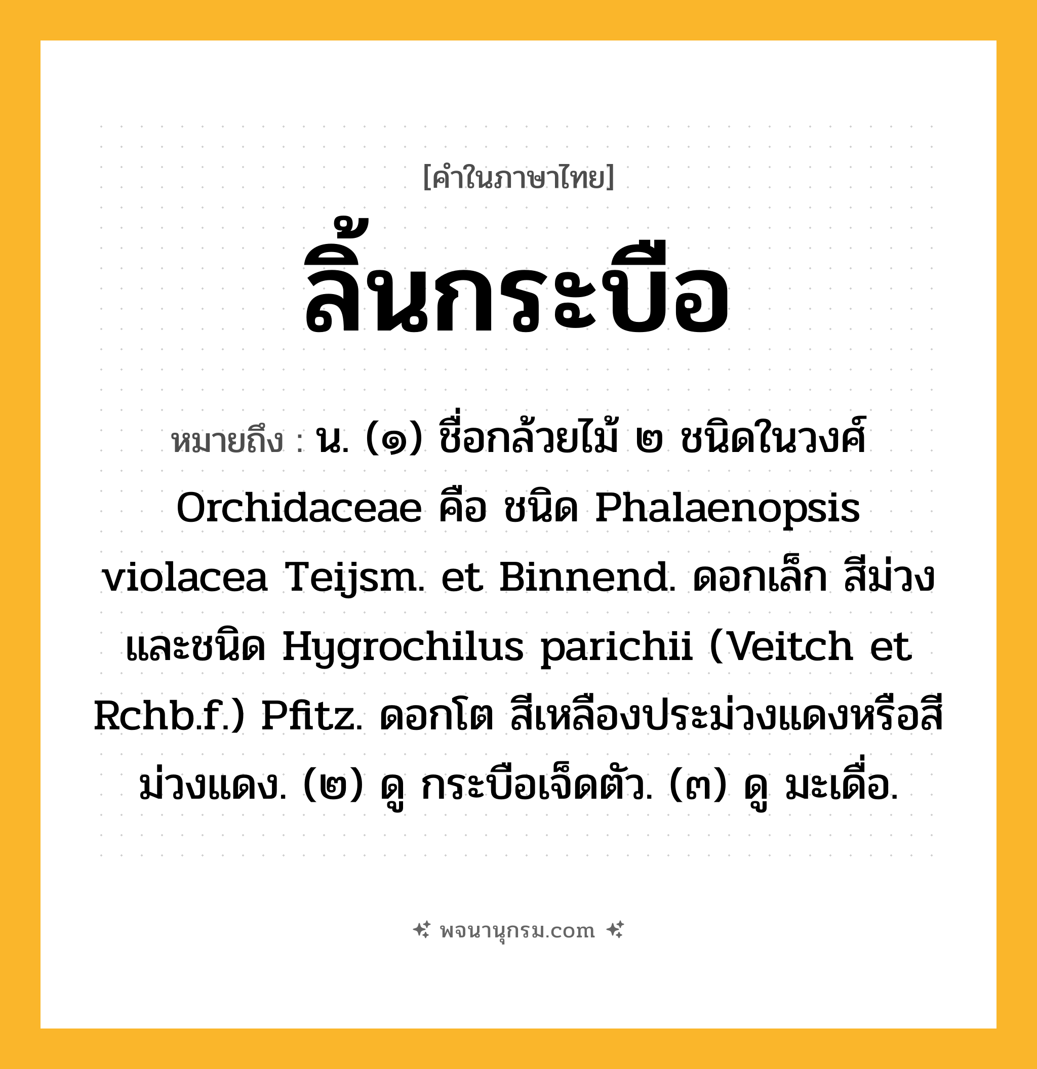 ลิ้นกระบือ ความหมาย หมายถึงอะไร?, คำในภาษาไทย ลิ้นกระบือ หมายถึง น. (๑) ชื่อกล้วยไม้ ๒ ชนิดในวงศ์ Orchidaceae คือ ชนิด Phalaenopsis violacea Teijsm. et Binnend. ดอกเล็ก สีม่วง และชนิด Hygrochilus parichii (Veitch et Rchb.f.) Pfitz. ดอกโต สีเหลืองประม่วงแดงหรือสีม่วงแดง. (๒) ดู กระบือเจ็ดตัว. (๓) ดู มะเดื่อ.