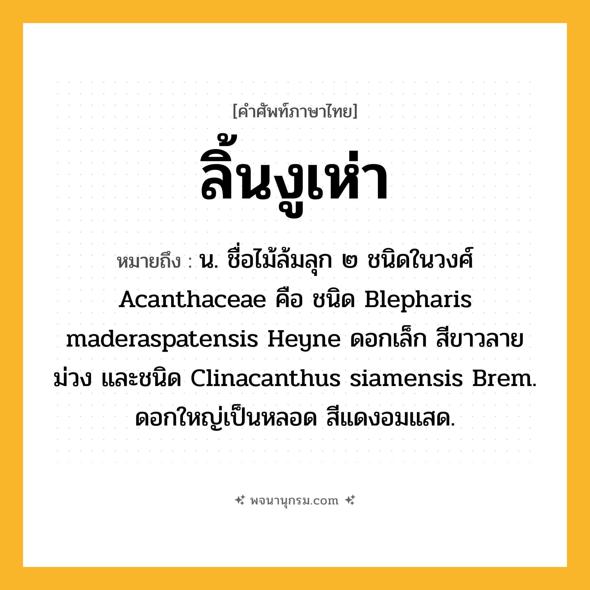 ลิ้นงูเห่า ความหมาย หมายถึงอะไร?, คำในภาษาไทย ลิ้นงูเห่า หมายถึง น. ชื่อไม้ล้มลุก ๒ ชนิดในวงศ์ Acanthaceae คือ ชนิด Blepharis maderaspatensis Heyne ดอกเล็ก สีขาวลายม่วง และชนิด Clinacanthus siamensis Brem. ดอกใหญ่เป็นหลอด สีแดงอมแสด.