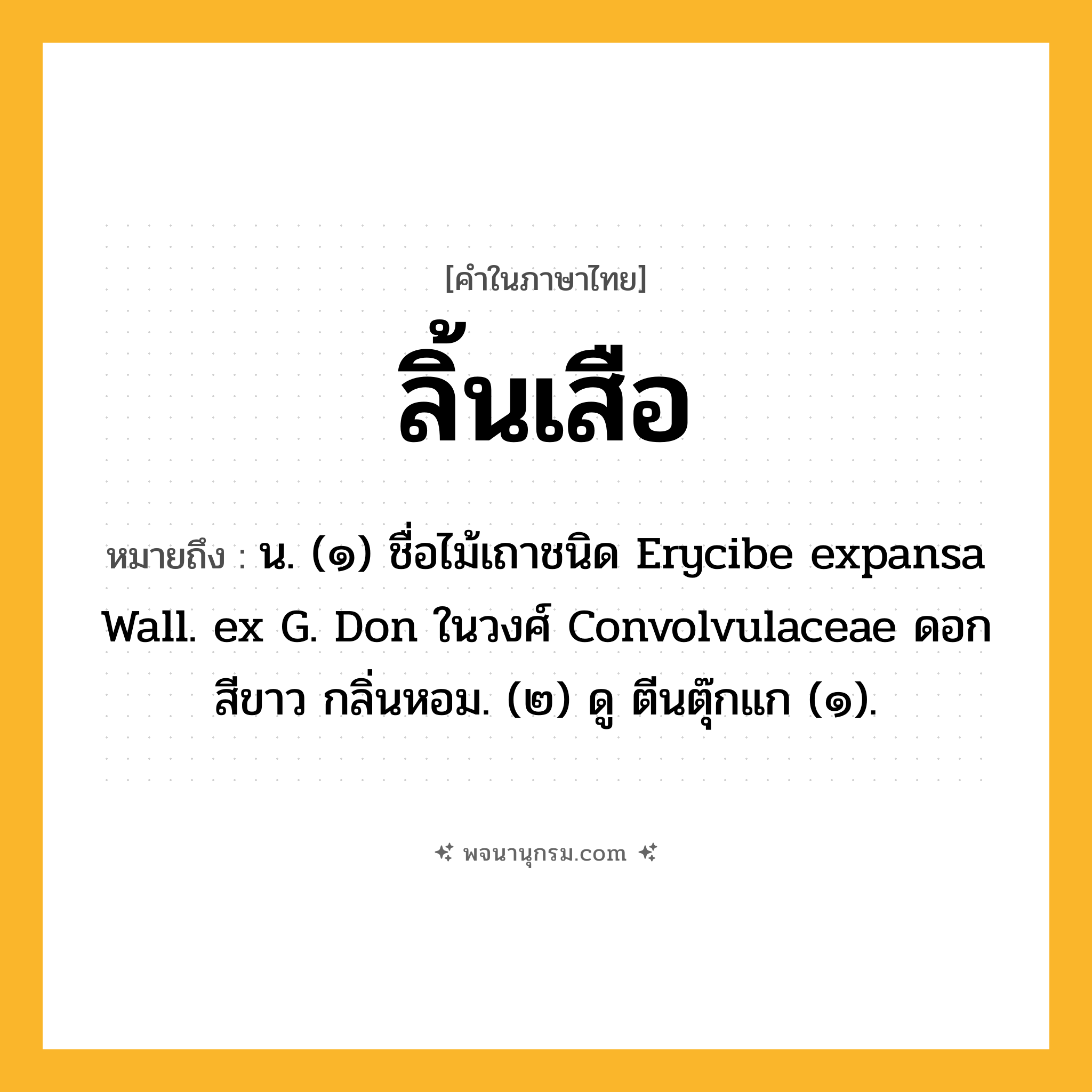 ลิ้นเสือ ความหมาย หมายถึงอะไร?, คำในภาษาไทย ลิ้นเสือ หมายถึง น. (๑) ชื่อไม้เถาชนิด Erycibe expansa Wall. ex G. Don ในวงศ์ Convolvulaceae ดอกสีขาว กลิ่นหอม. (๒) ดู ตีนตุ๊กแก (๑).