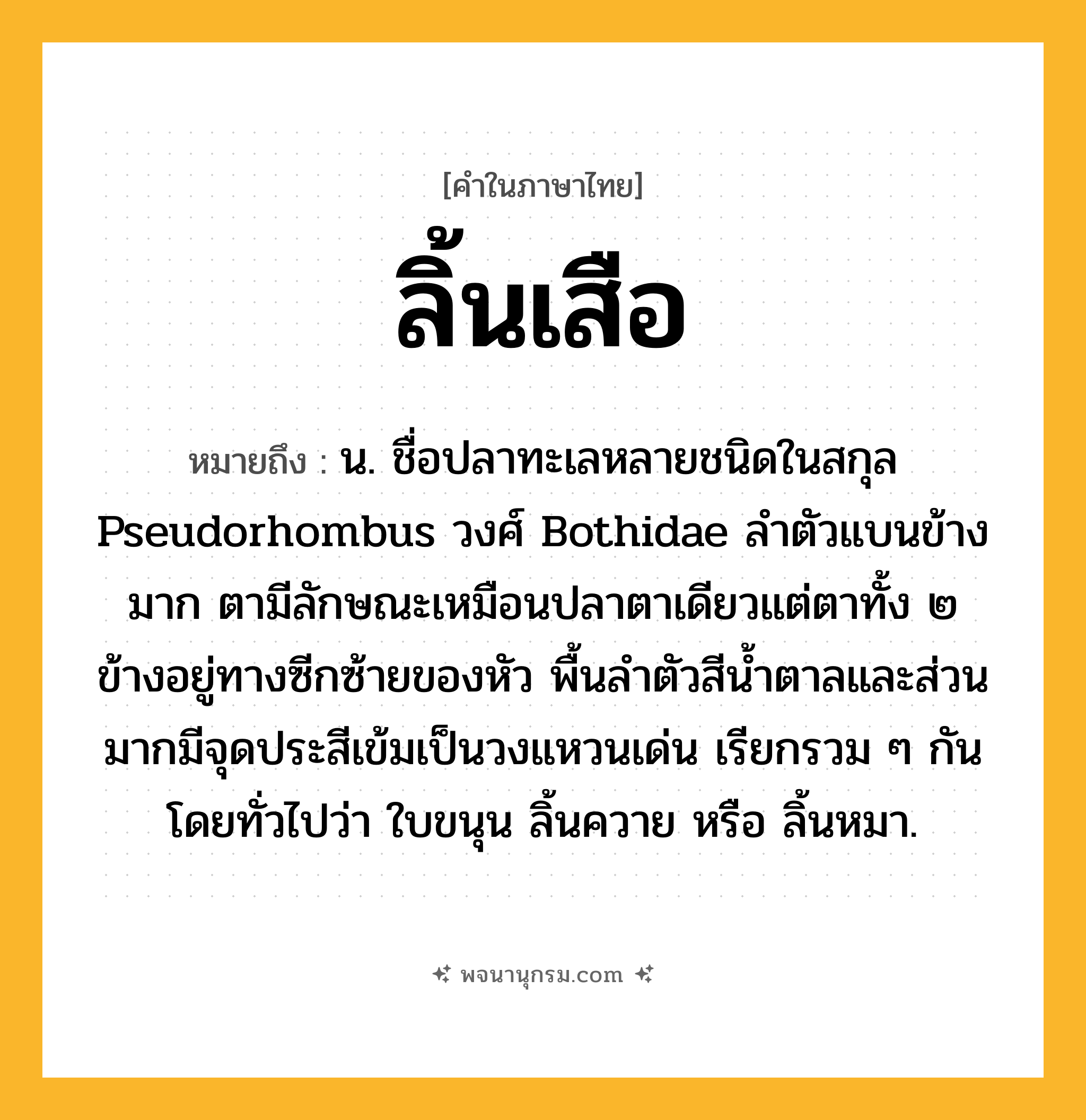 ลิ้นเสือ ความหมาย หมายถึงอะไร?, คำในภาษาไทย ลิ้นเสือ หมายถึง น. ชื่อปลาทะเลหลายชนิดในสกุล Pseudorhombus วงศ์ Bothidae ลำตัวแบนข้างมาก ตามีลักษณะเหมือนปลาตาเดียวแต่ตาทั้ง ๒ ข้างอยู่ทางซีกซ้ายของหัว พื้นลําตัวสีนํ้าตาลและส่วนมากมีจุดประสีเข้มเป็นวงแหวนเด่น เรียกรวม ๆ กันโดยทั่วไปว่า ใบขนุน ลิ้นควาย หรือ ลิ้นหมา.