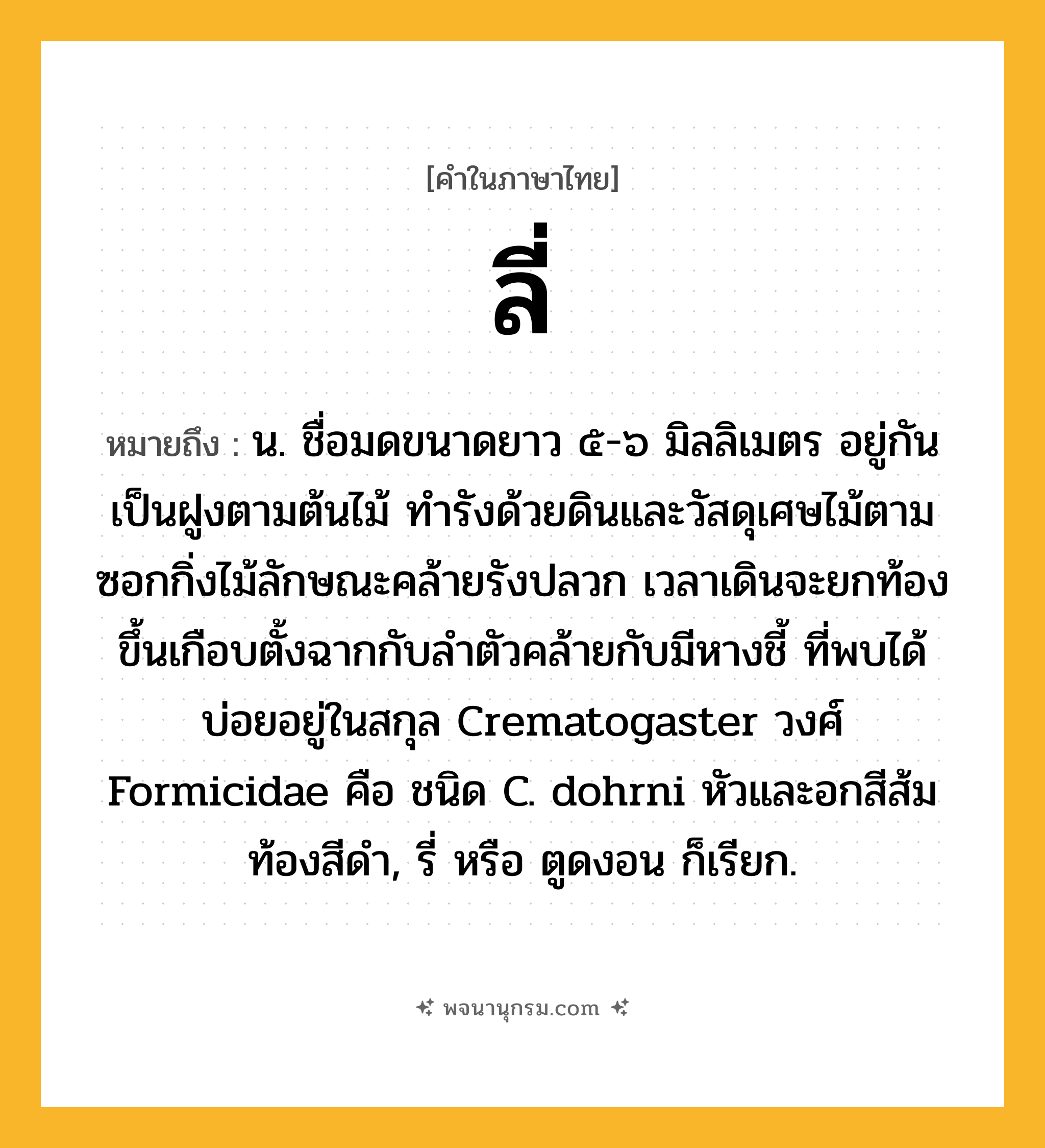 ลี่ ความหมาย หมายถึงอะไร?, คำในภาษาไทย ลี่ หมายถึง น. ชื่อมดขนาดยาว ๕-๖ มิลลิเมตร อยู่กันเป็นฝูงตามต้นไม้ ทํารังด้วยดินและวัสดุเศษไม้ตามซอกกิ่งไม้ลักษณะคล้ายรังปลวก เวลาเดินจะยกท้องขึ้นเกือบตั้งฉากกับลําตัวคล้ายกับมีหางชี้ ที่พบได้บ่อยอยู่ในสกุล Crematogaster วงศ์ Formicidae คือ ชนิด C. dohrni หัวและอกสีส้ม ท้องสีดํา, รี่ หรือ ตูดงอน ก็เรียก.