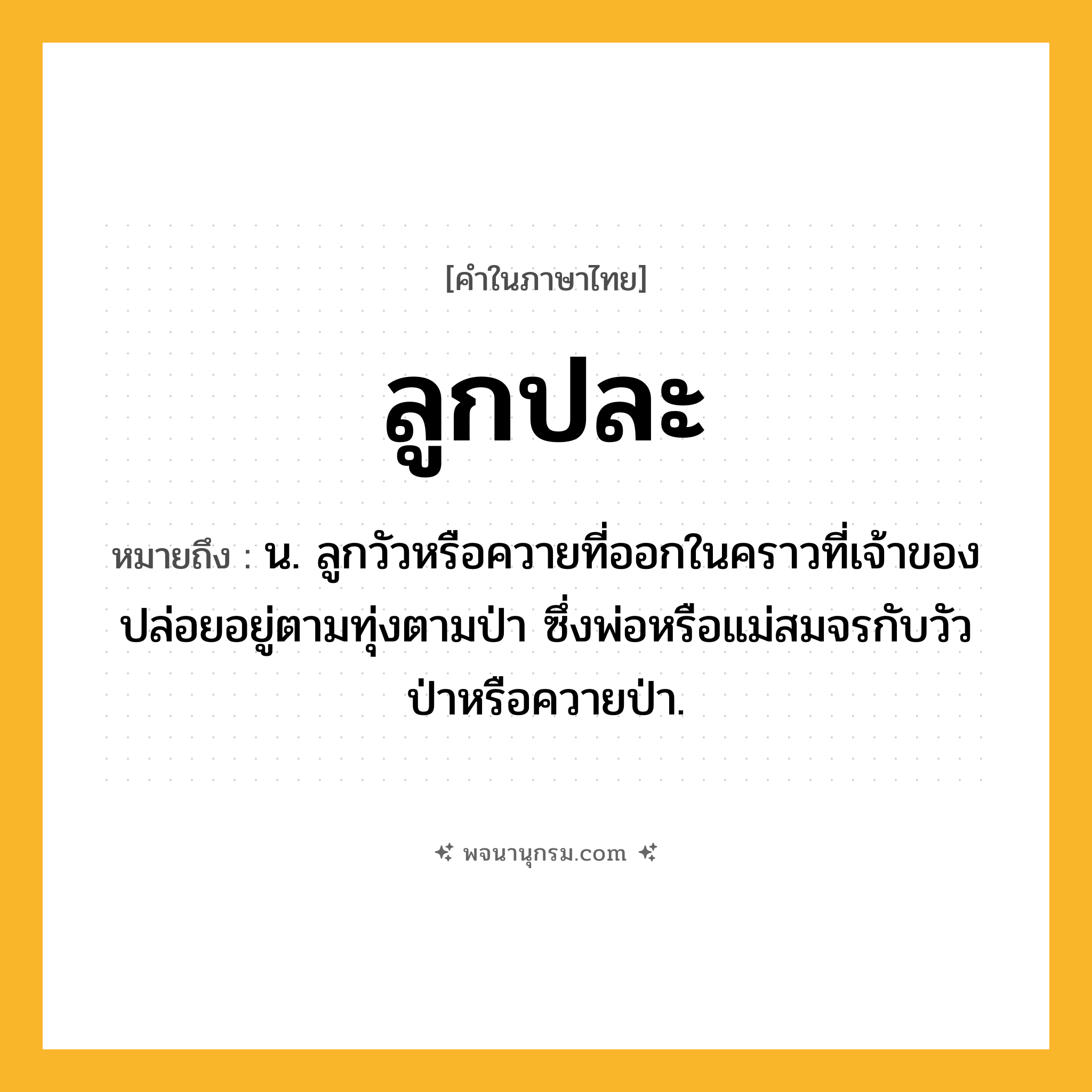 ลูกปละ ความหมาย หมายถึงอะไร?, คำในภาษาไทย ลูกปละ หมายถึง น. ลูกวัวหรือควายที่ออกในคราวที่เจ้าของปล่อยอยู่ตามทุ่งตามป่า ซึ่งพ่อหรือแม่สมจรกับวัวป่าหรือควายป่า.