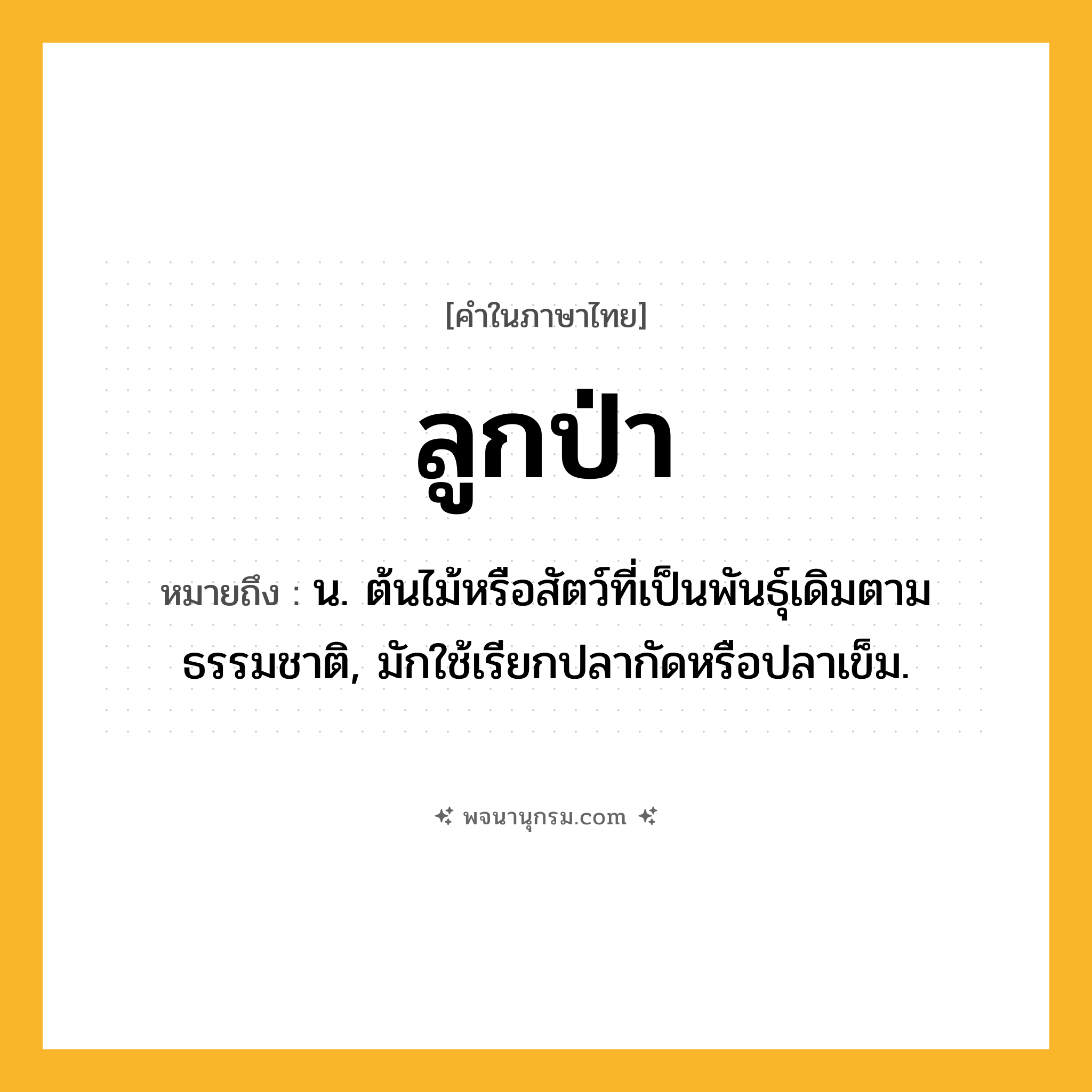 ลูกป่า ความหมาย หมายถึงอะไร?, คำในภาษาไทย ลูกป่า หมายถึง น. ต้นไม้หรือสัตว์ที่เป็นพันธุ์เดิมตามธรรมชาติ, มักใช้เรียกปลากัดหรือปลาเข็ม.