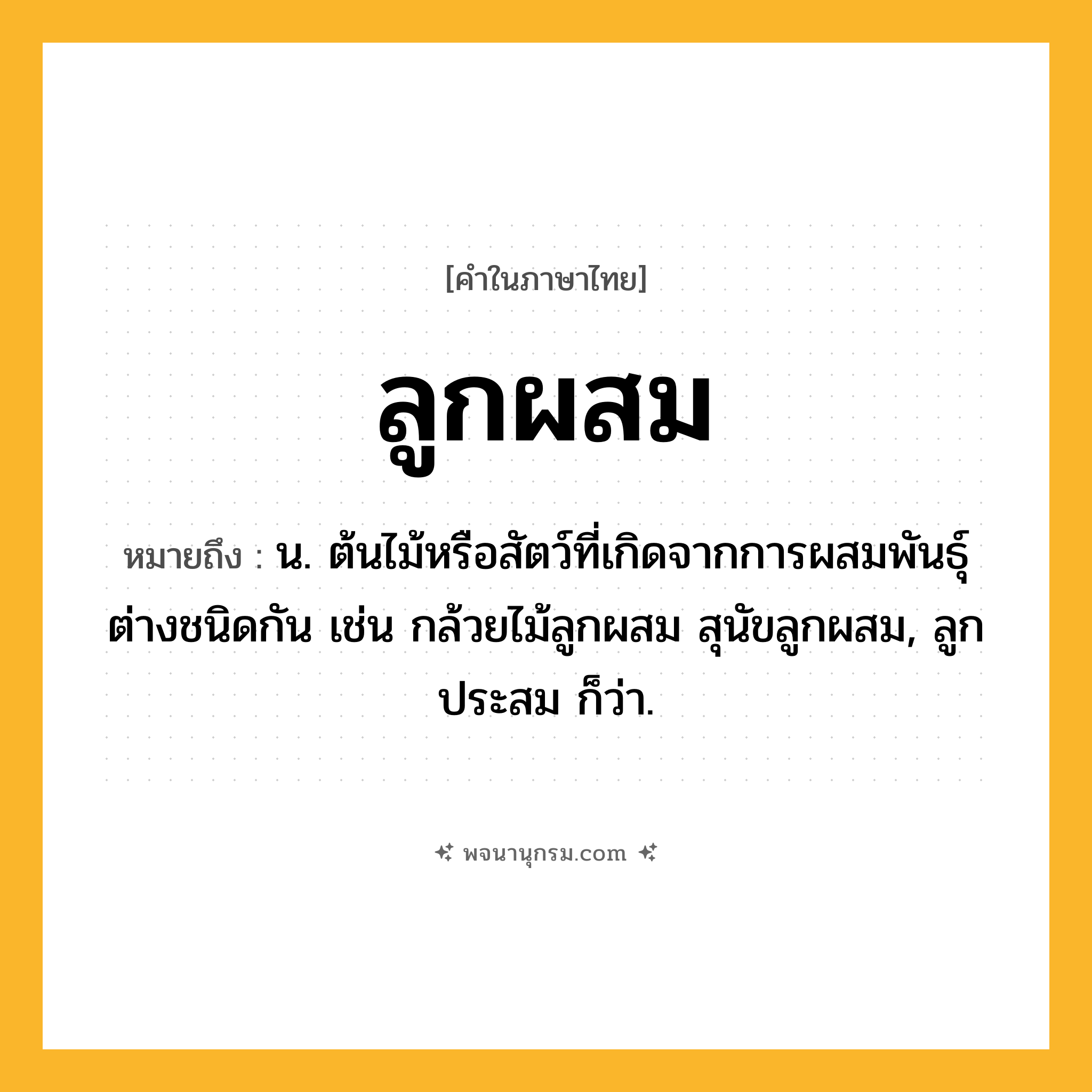 ลูกผสม ความหมาย หมายถึงอะไร?, คำในภาษาไทย ลูกผสม หมายถึง น. ต้นไม้หรือสัตว์ที่เกิดจากการผสมพันธุ์ต่างชนิดกัน เช่น กล้วยไม้ลูกผสม สุนัขลูกผสม, ลูกประสม ก็ว่า.
