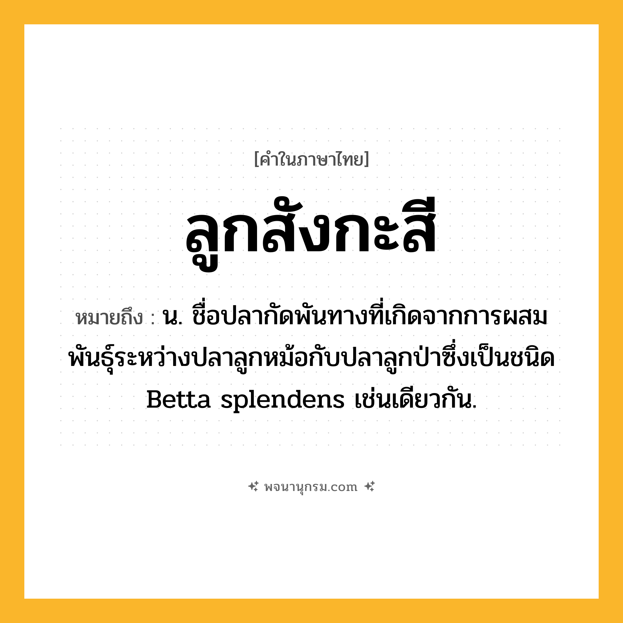 ลูกสังกะสี ความหมาย หมายถึงอะไร?, คำในภาษาไทย ลูกสังกะสี หมายถึง น. ชื่อปลากัดพันทางที่เกิดจากการผสมพันธุ์ระหว่างปลาลูกหม้อกับปลาลูกป่าซึ่งเป็นชนิด Betta splendens เช่นเดียวกัน.