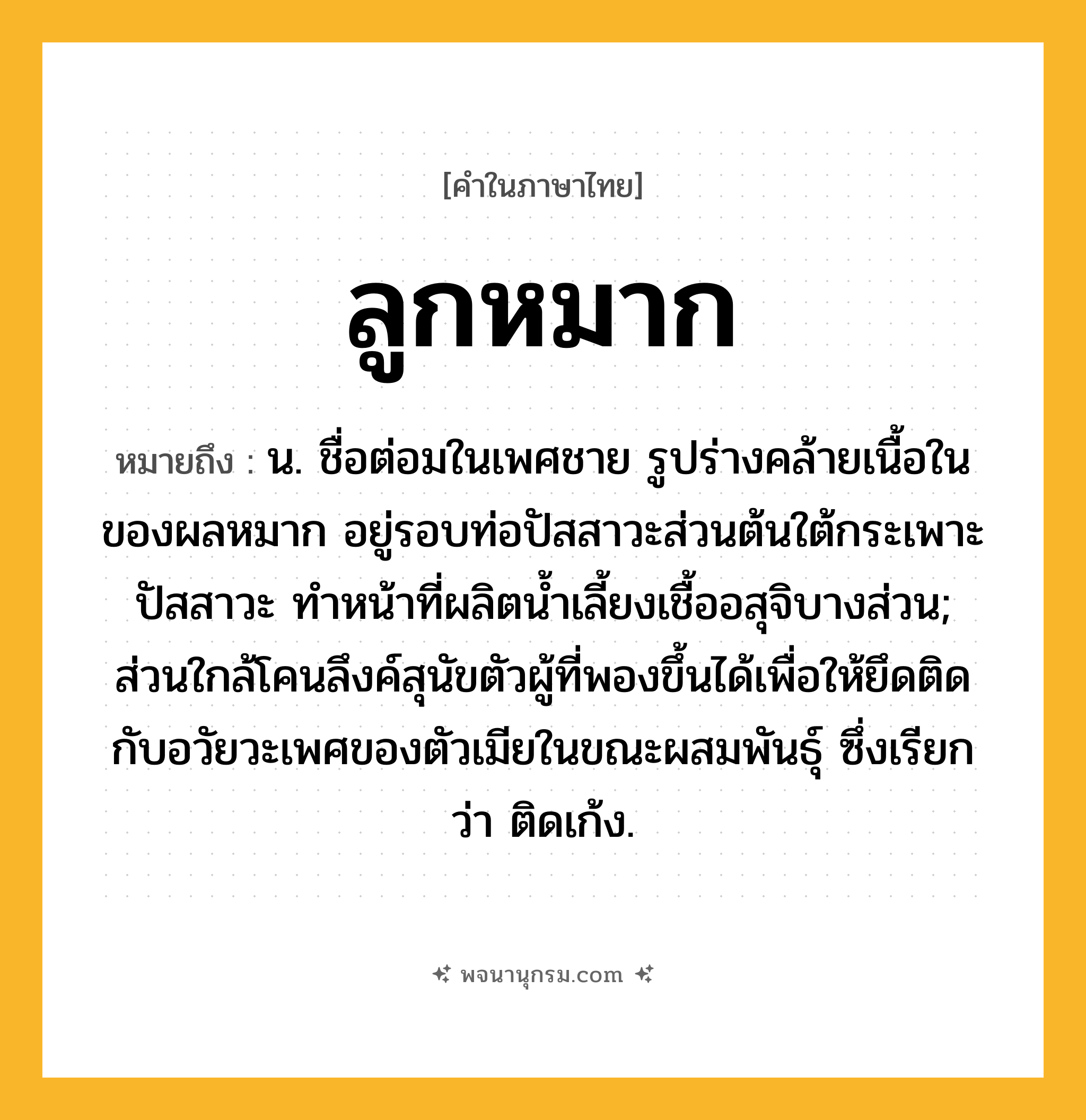 ลูกหมาก ความหมาย หมายถึงอะไร?, คำในภาษาไทย ลูกหมาก หมายถึง น. ชื่อต่อมในเพศชาย รูปร่างคล้ายเนื้อในของผลหมาก อยู่รอบท่อปัสสาวะส่วนต้นใต้กระเพาะปัสสาวะ ทําหน้าที่ผลิตนํ้าเลี้ยงเชื้ออสุจิบางส่วน; ส่วนใกล้โคนลึงค์สุนัขตัวผู้ที่พองขึ้นได้เพื่อให้ยึดติดกับอวัยวะเพศของตัวเมียในขณะผสมพันธุ์ ซึ่งเรียกว่า ติดเก้ง.