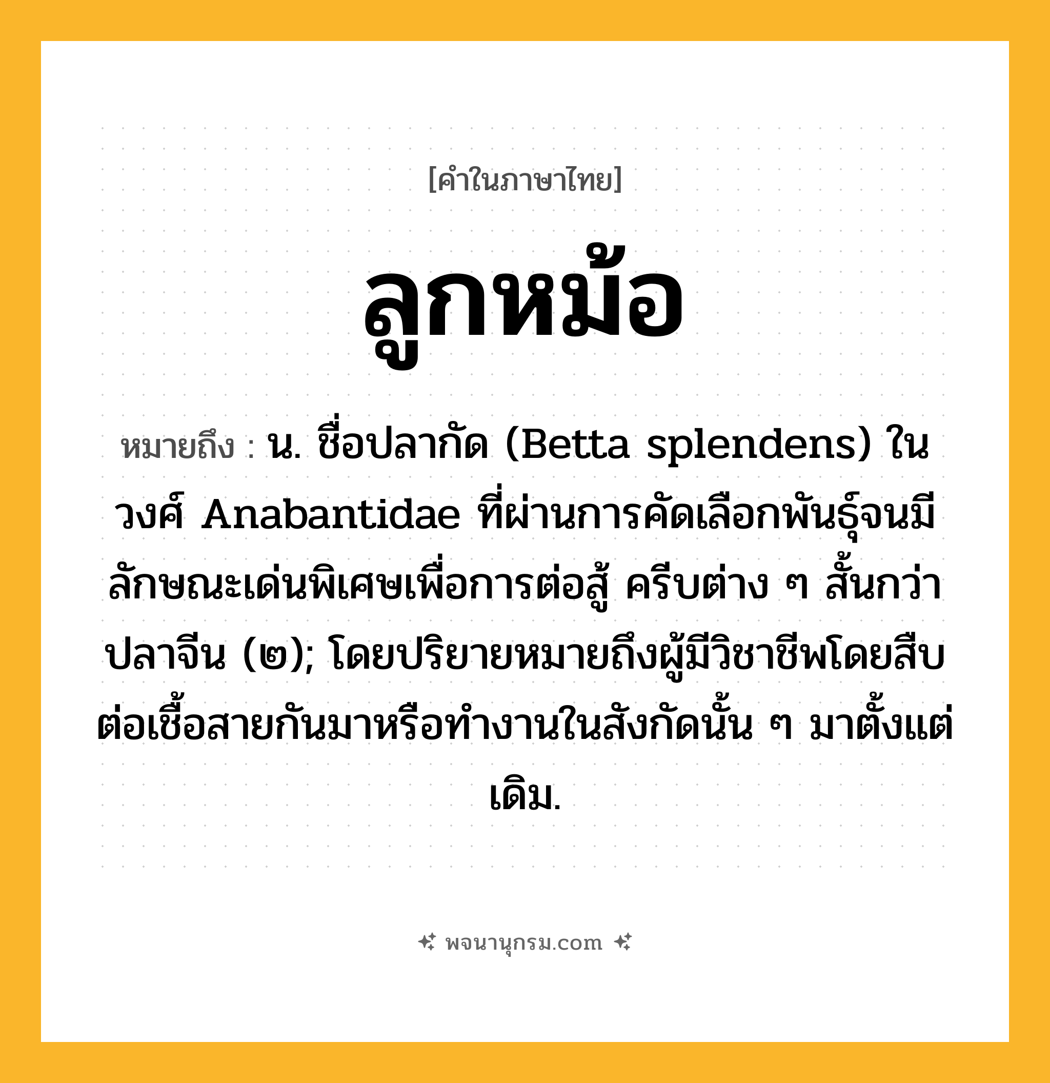 ลูกหม้อ ความหมาย หมายถึงอะไร?, คำในภาษาไทย ลูกหม้อ หมายถึง น. ชื่อปลากัด (Betta splendens) ในวงศ์ Anabantidae ที่ผ่านการคัดเลือกพันธุ์จนมีลักษณะเด่นพิเศษเพื่อการต่อสู้ ครีบต่าง ๆ สั้นกว่าปลาจีน (๒); โดยปริยายหมายถึงผู้มีวิชาชีพโดยสืบต่อเชื้อสายกันมาหรือทํางานในสังกัดนั้น ๆ มาตั้งแต่เดิม.